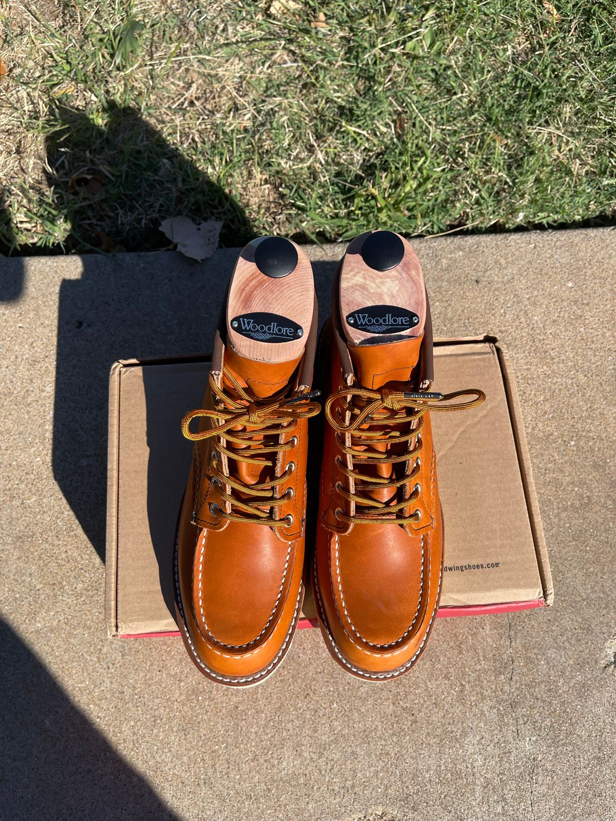 Photo by c.w.hogan on October 1, 2022 of the Red Wing 6-Inch Classic Moc in S.B. Foot Oro Legacy.