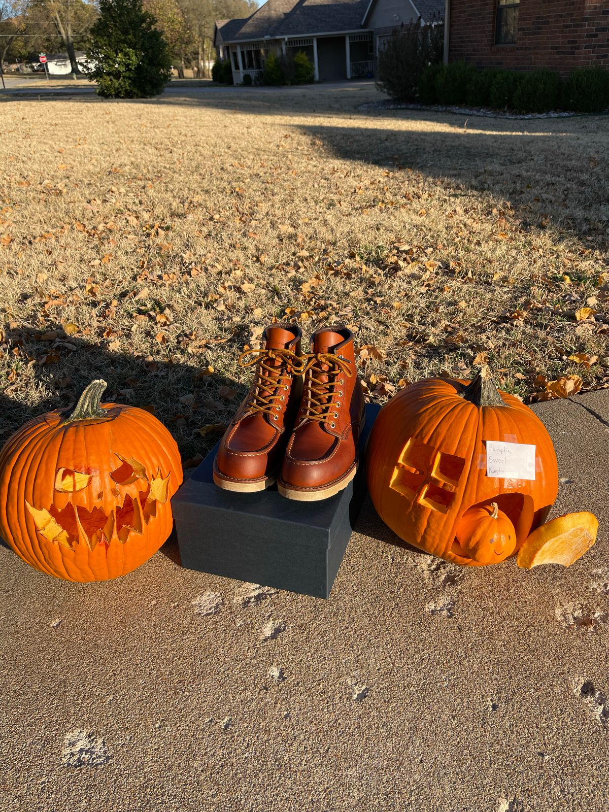 Photo by c.w.hogan on November 1, 2022 of the Red Wing 6-Inch Classic Moc in S.B. Foot Oro Legacy.