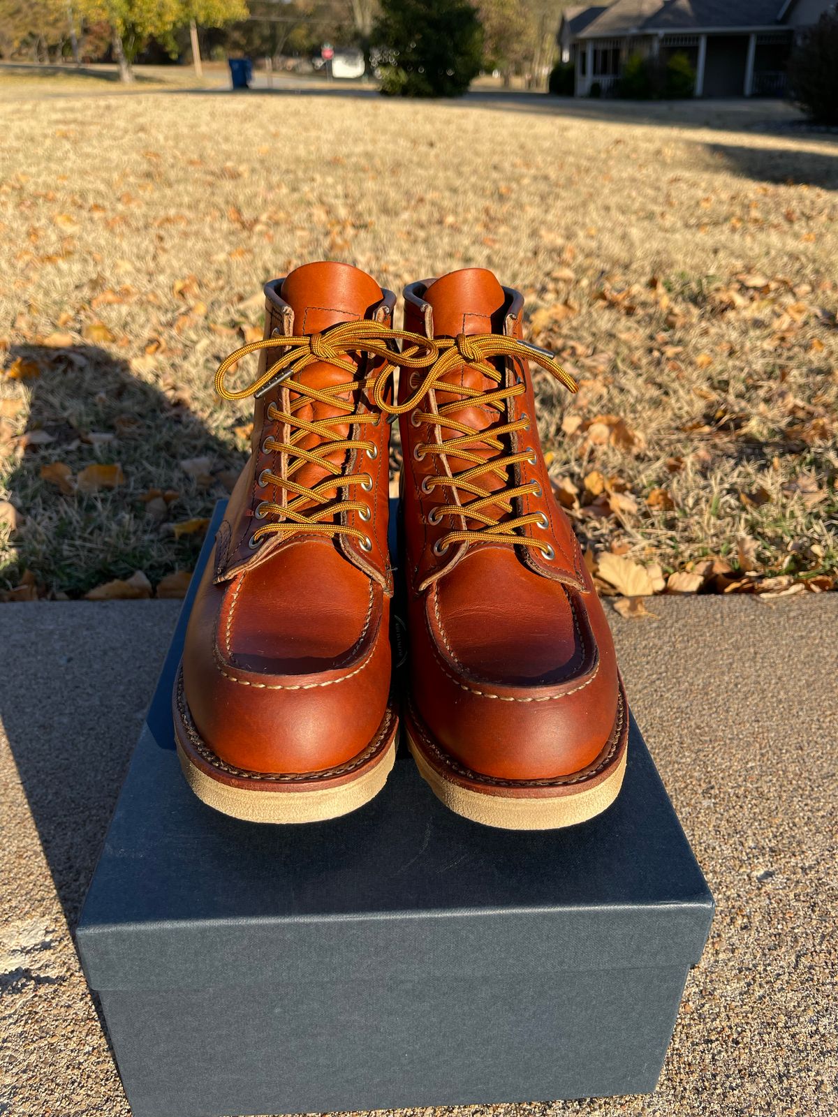 Photo by c.w.hogan on November 1, 2022 of the Red Wing 6-Inch Classic Moc in S.B. Foot Oro Legacy.