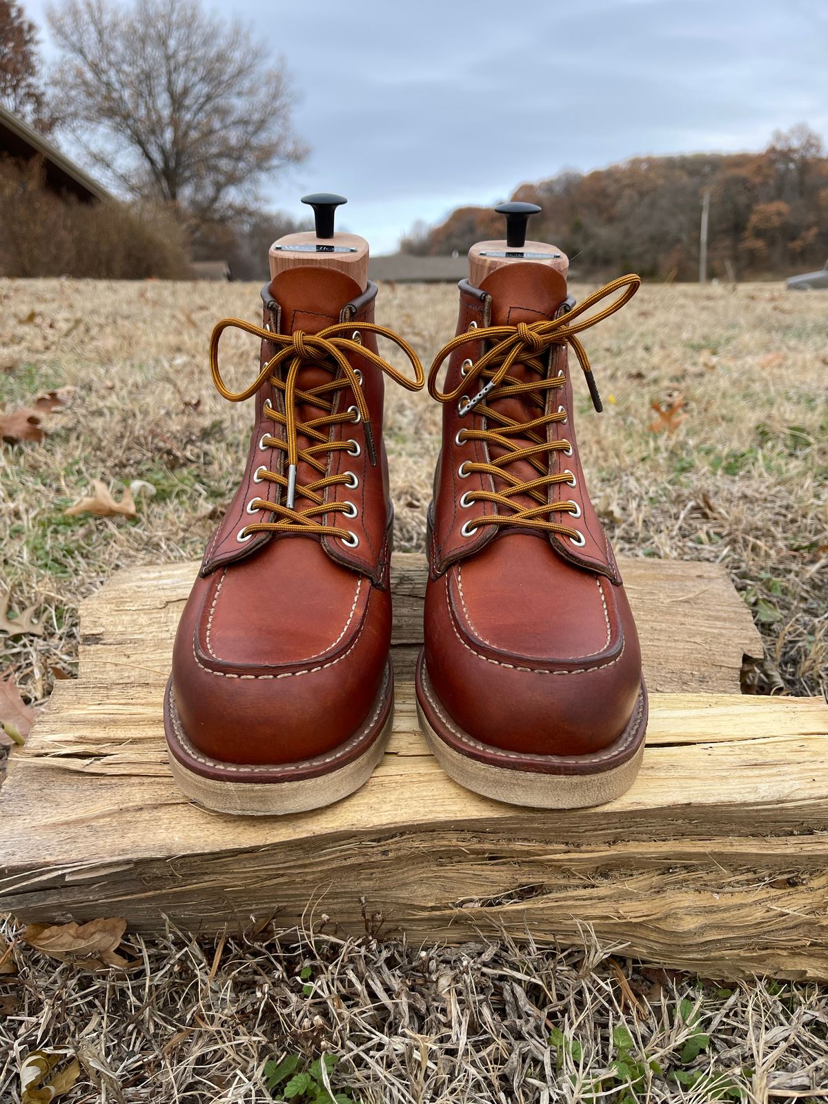 Photo by c.w.hogan on December 4, 2022 of the Red Wing 6-Inch Classic Moc in S.B. Foot Oro Legacy.