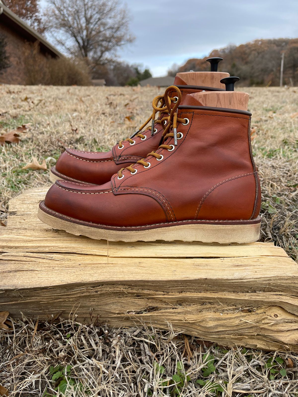 Photo by c.w.hogan on December 4, 2022 of the Red Wing 6-Inch Classic Moc in S.B. Foot Oro Legacy.