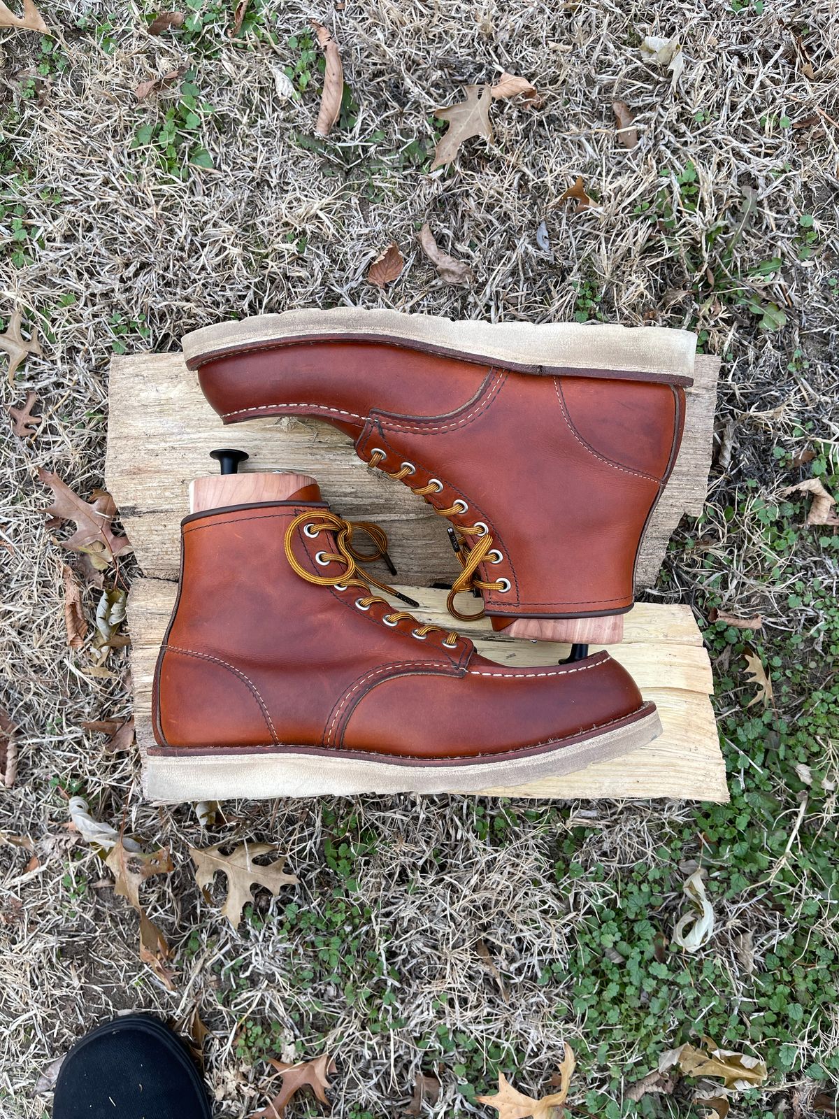 Photo by c.w.hogan on December 4, 2022 of the Red Wing 6-Inch Classic Moc in S.B. Foot Oro Legacy.