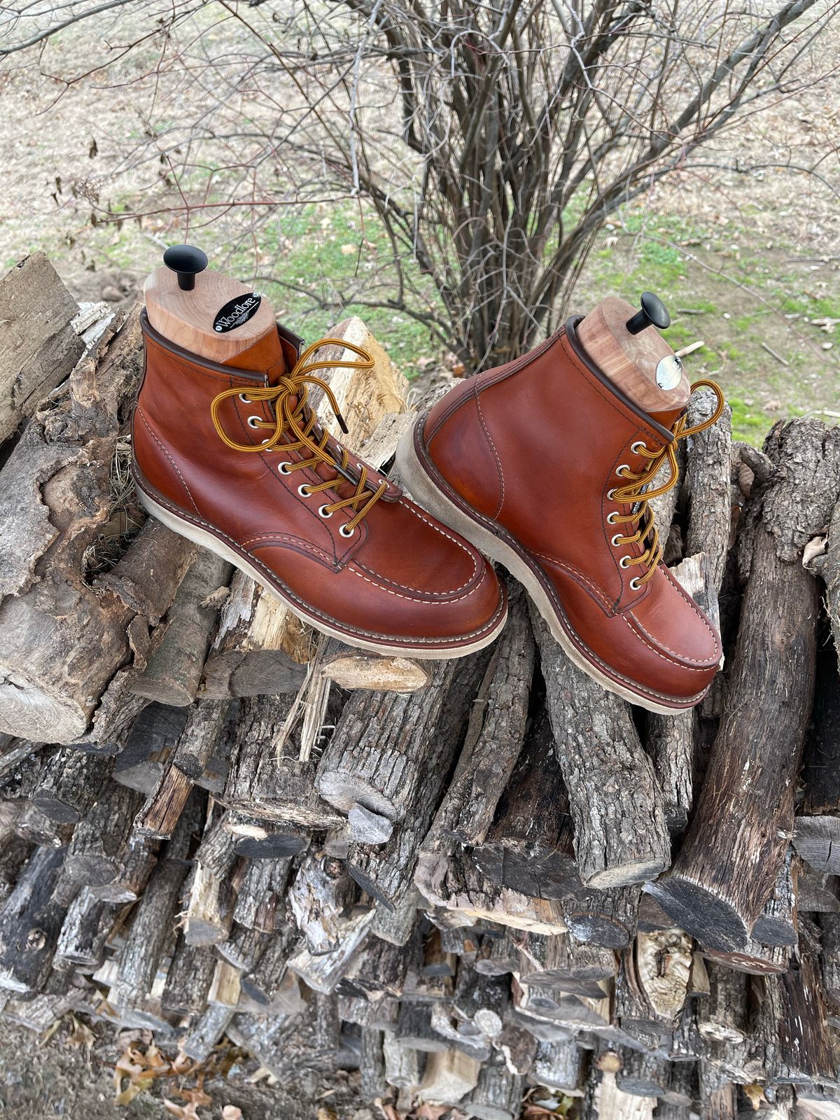 Photo by c.w.hogan on December 4, 2022 of the Red Wing 6-Inch Classic Moc in S.B. Foot Oro Legacy.