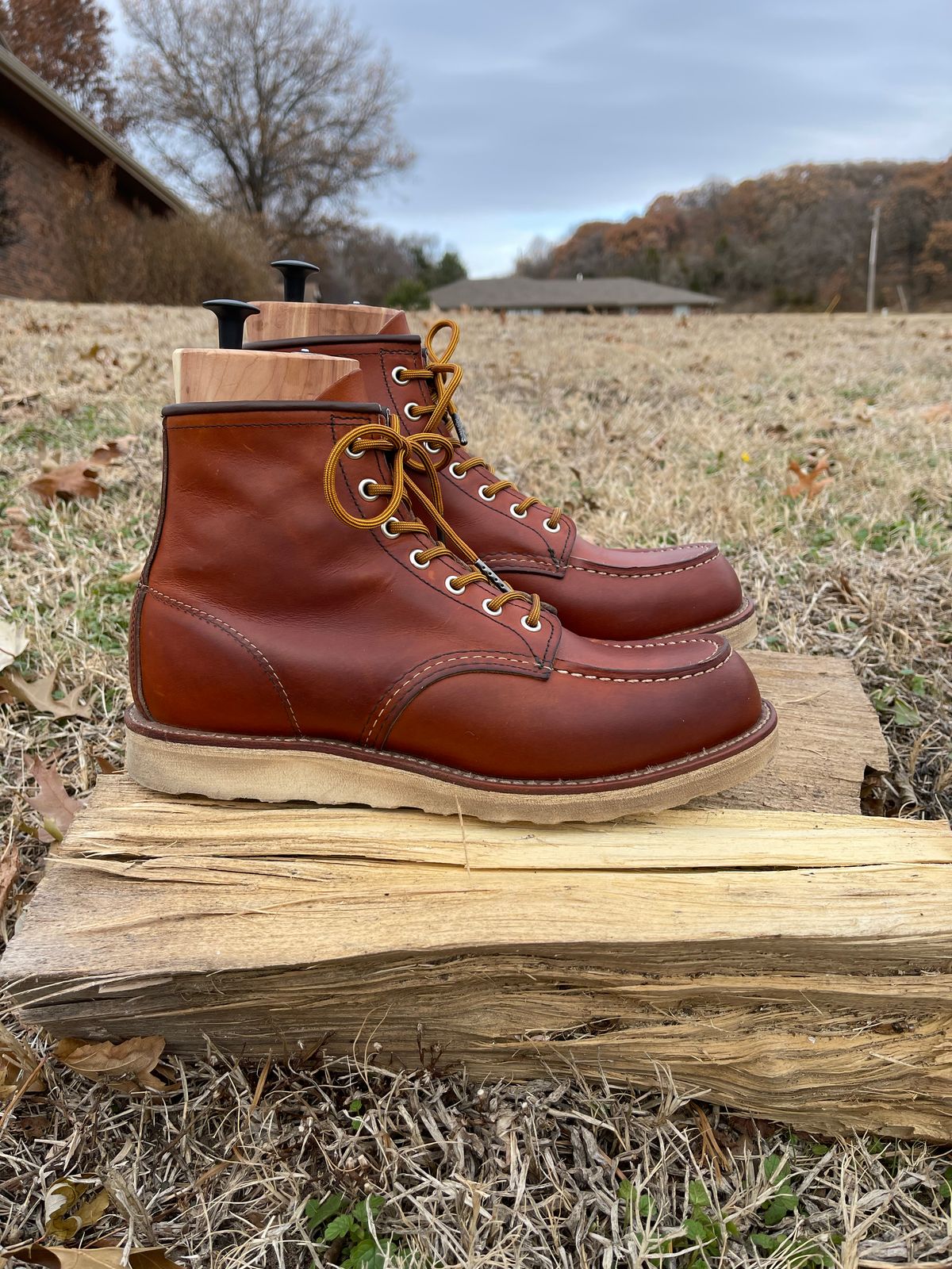 Photo by c.w.hogan on December 4, 2022 of the Red Wing 6-Inch Classic Moc in S.B. Foot Oro Legacy.
