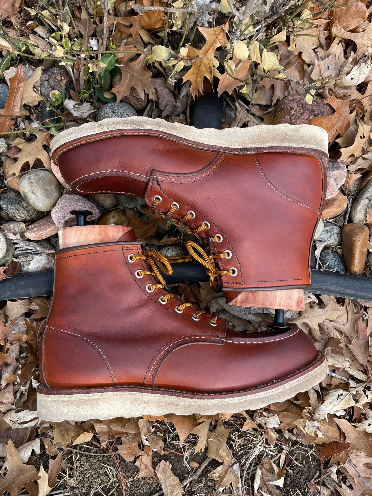 Photo by c.w.hogan on January 2, 2023 of the Red Wing 6-Inch Classic Moc in S.B. Foot Oro Legacy.