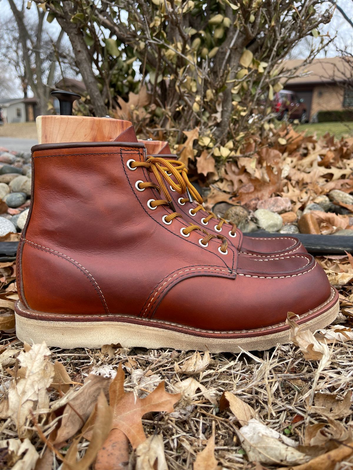Photo by c.w.hogan on January 2, 2023 of the Red Wing 6-Inch Classic Moc in S.B. Foot Oro Legacy.