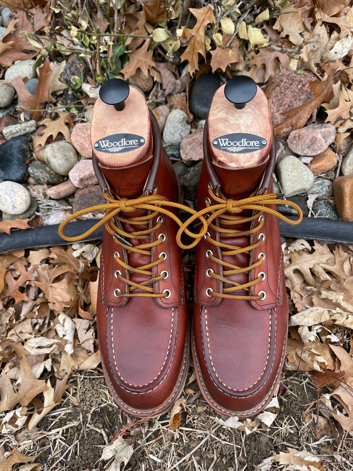 Photo by c.w.hogan on January 2, 2023 of the Red Wing 6-Inch Classic Moc in S.B. Foot Oro Legacy.