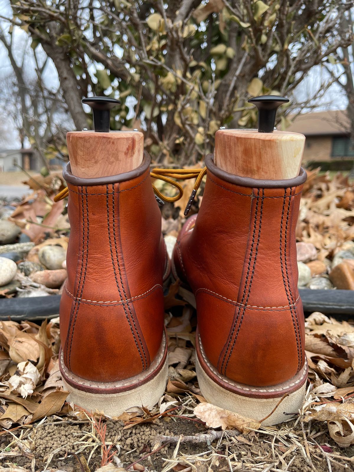 Photo by c.w.hogan on January 2, 2023 of the Red Wing 6-Inch Classic Moc in S.B. Foot Oro Legacy.