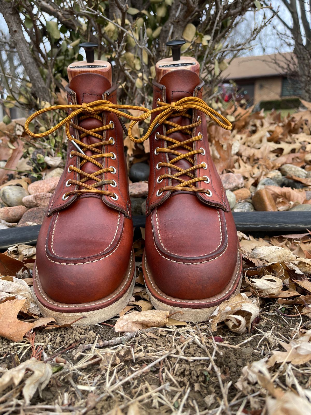 Photo by c.w.hogan on January 2, 2023 of the Red Wing 6-Inch Classic Moc in S.B. Foot Oro Legacy.