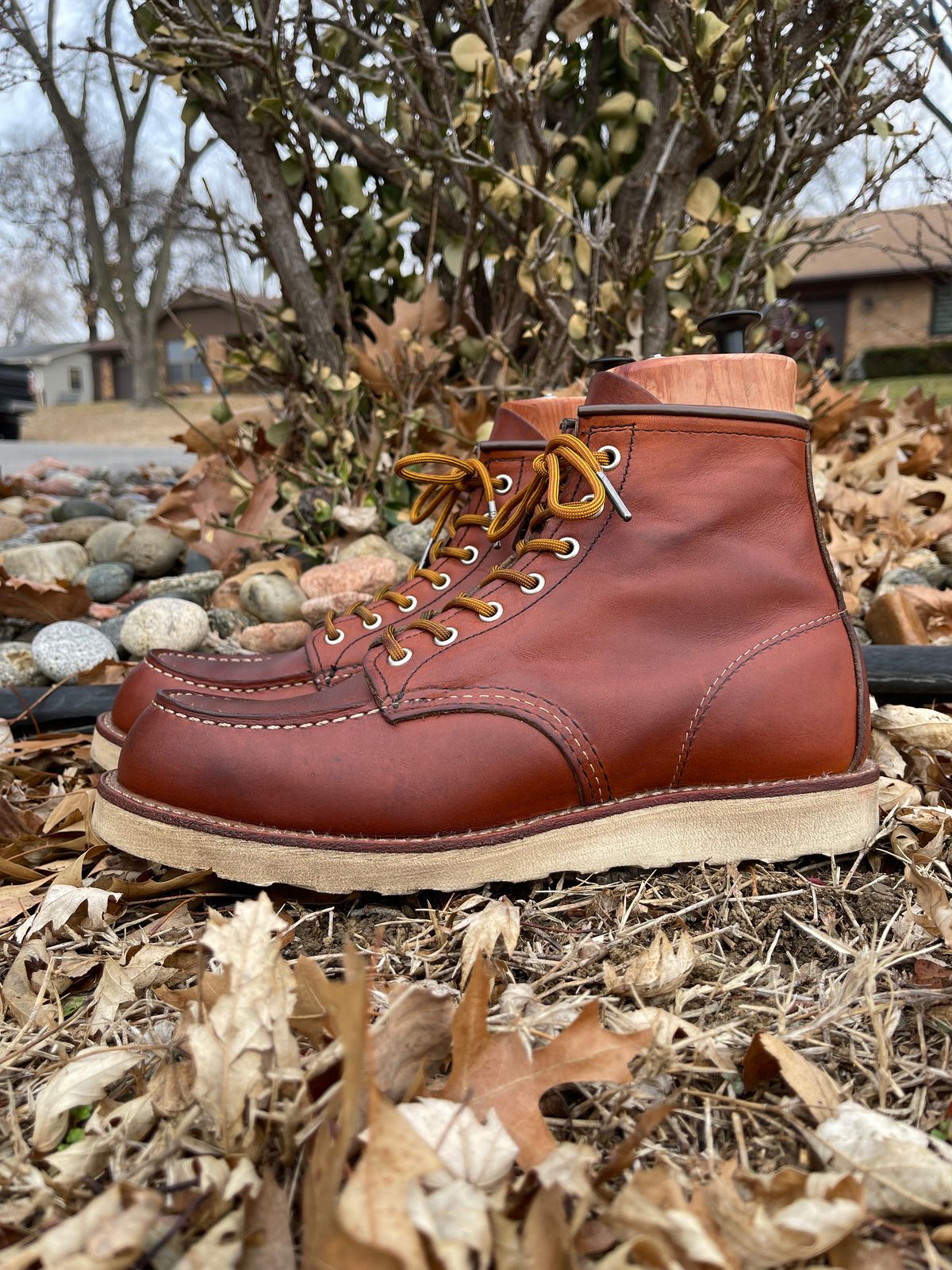 Photo by c.w.hogan on January 2, 2023 of the Red Wing 6-Inch Classic Moc in S.B. Foot Oro Legacy.