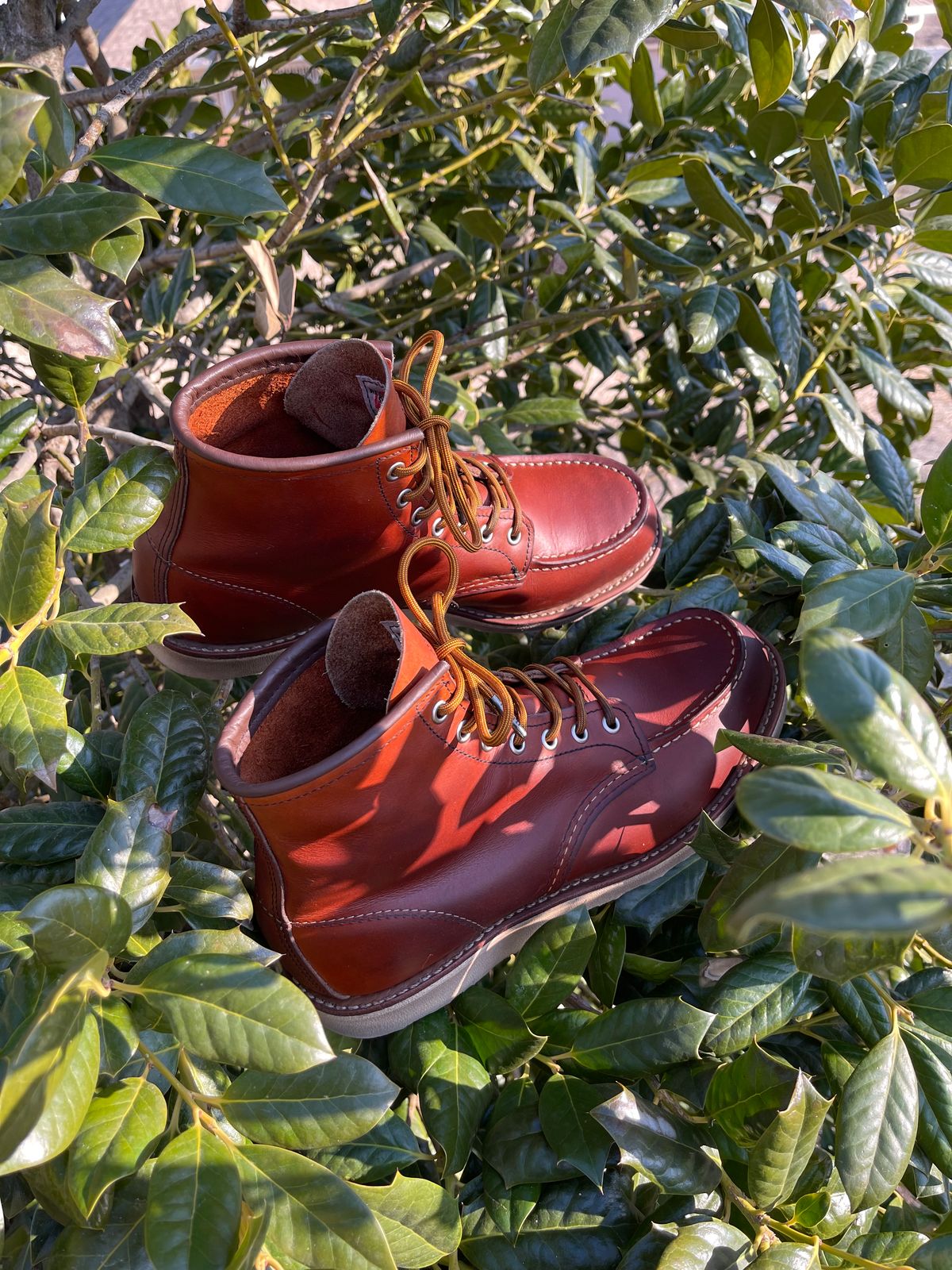 Photo by c.w.hogan on February 4, 2023 of the Red Wing 6-Inch Classic Moc in S.B. Foot Oro Legacy.