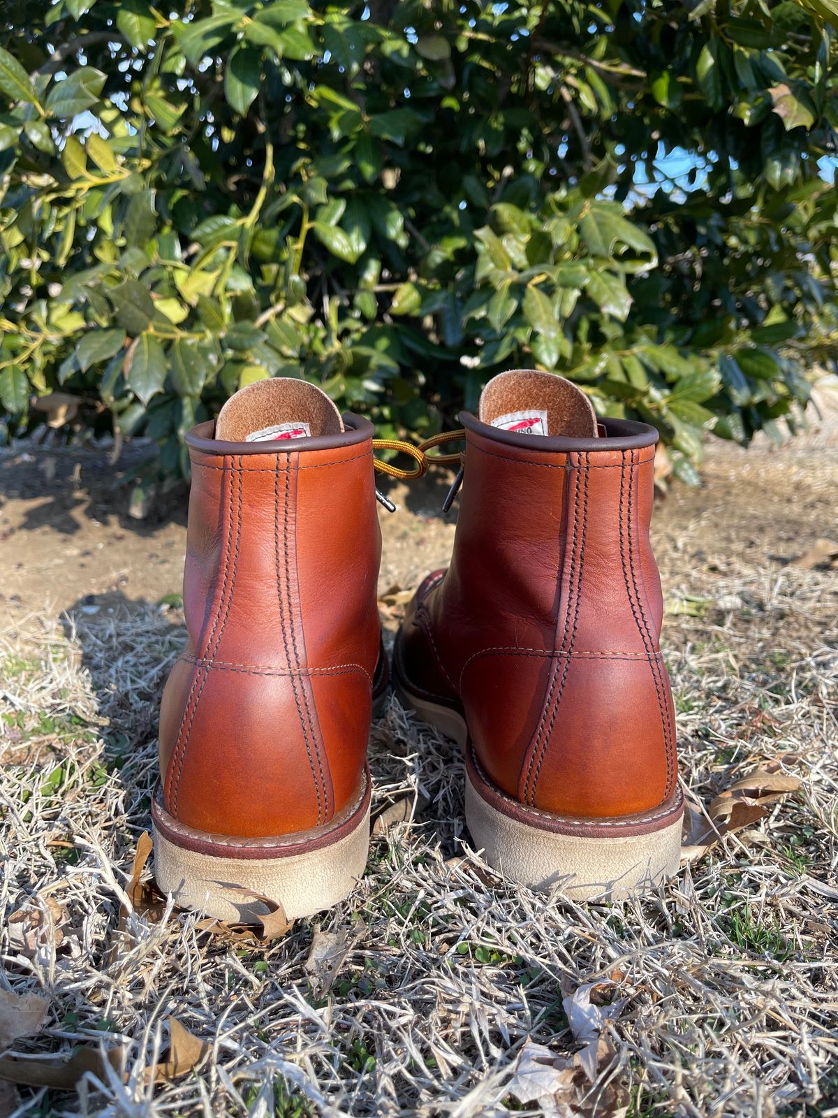 Photo by c.w.hogan on February 4, 2023 of the Red Wing 6-Inch Classic Moc in S.B. Foot Oro Legacy.