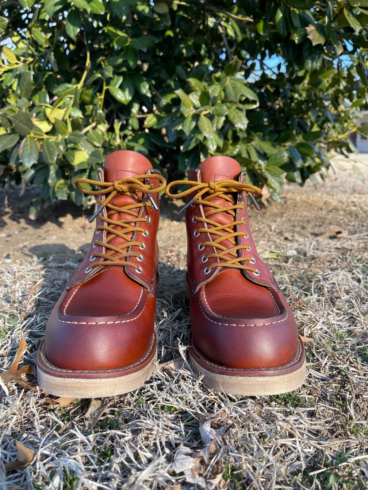 Photo by c.w.hogan on February 4, 2023 of the Red Wing 6-Inch Classic Moc in S.B. Foot Oro Legacy.