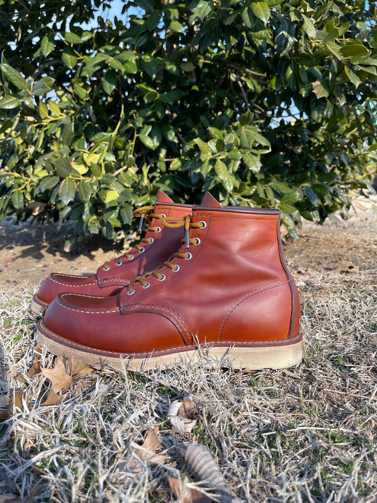 Photo by c.w.hogan on February 4, 2023 of the Red Wing 6-Inch Classic Moc in S.B. Foot Oro Legacy.