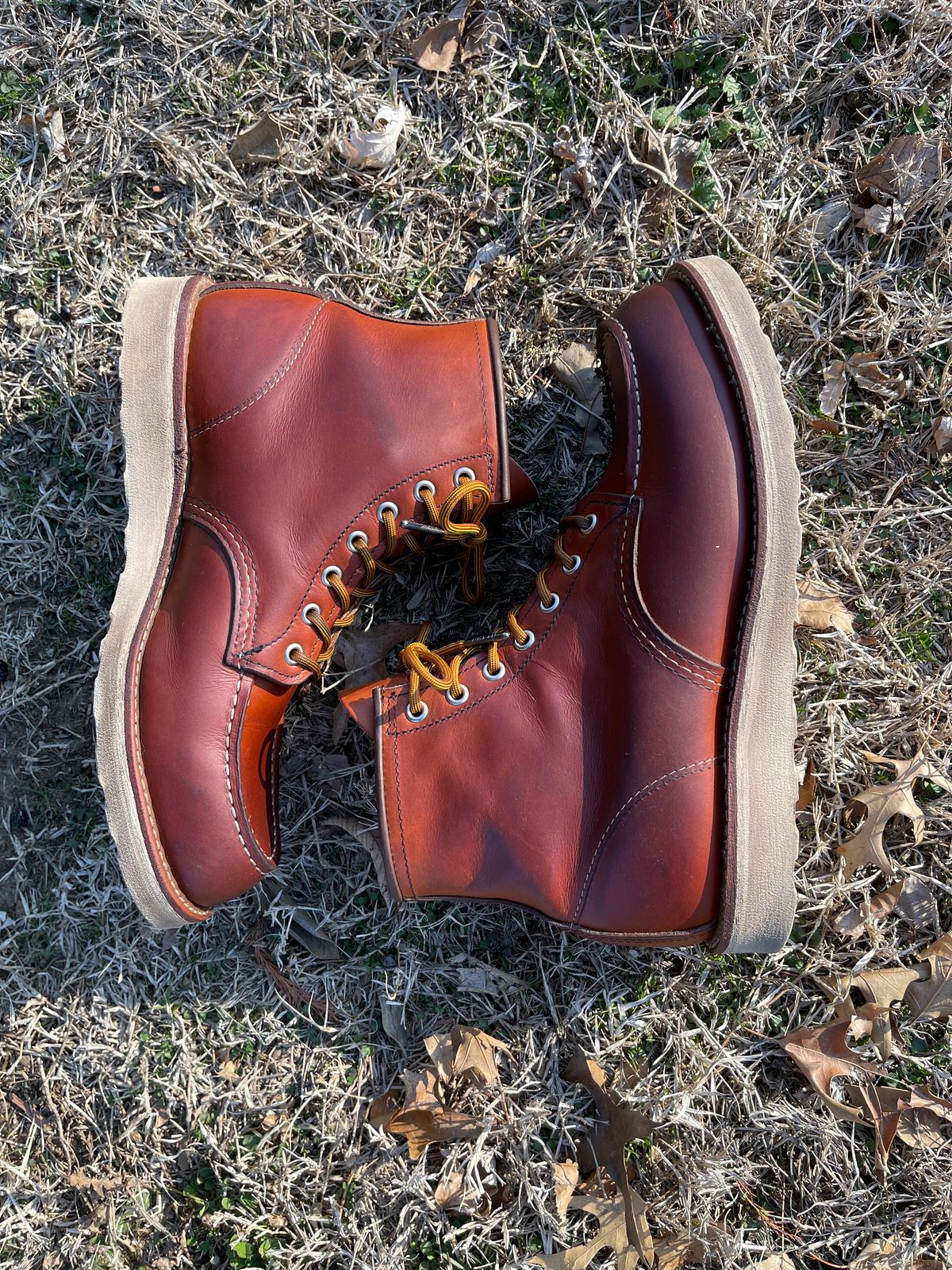 Photo by c.w.hogan on February 4, 2023 of the Red Wing 6-Inch Classic Moc in S.B. Foot Oro Legacy.