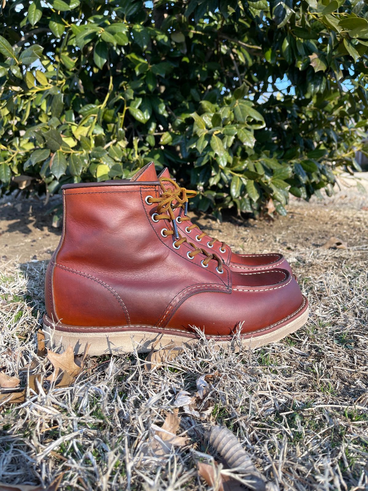 Photo by c.w.hogan on February 4, 2023 of the Red Wing 6-Inch Classic Moc in S.B. Foot Oro Legacy.