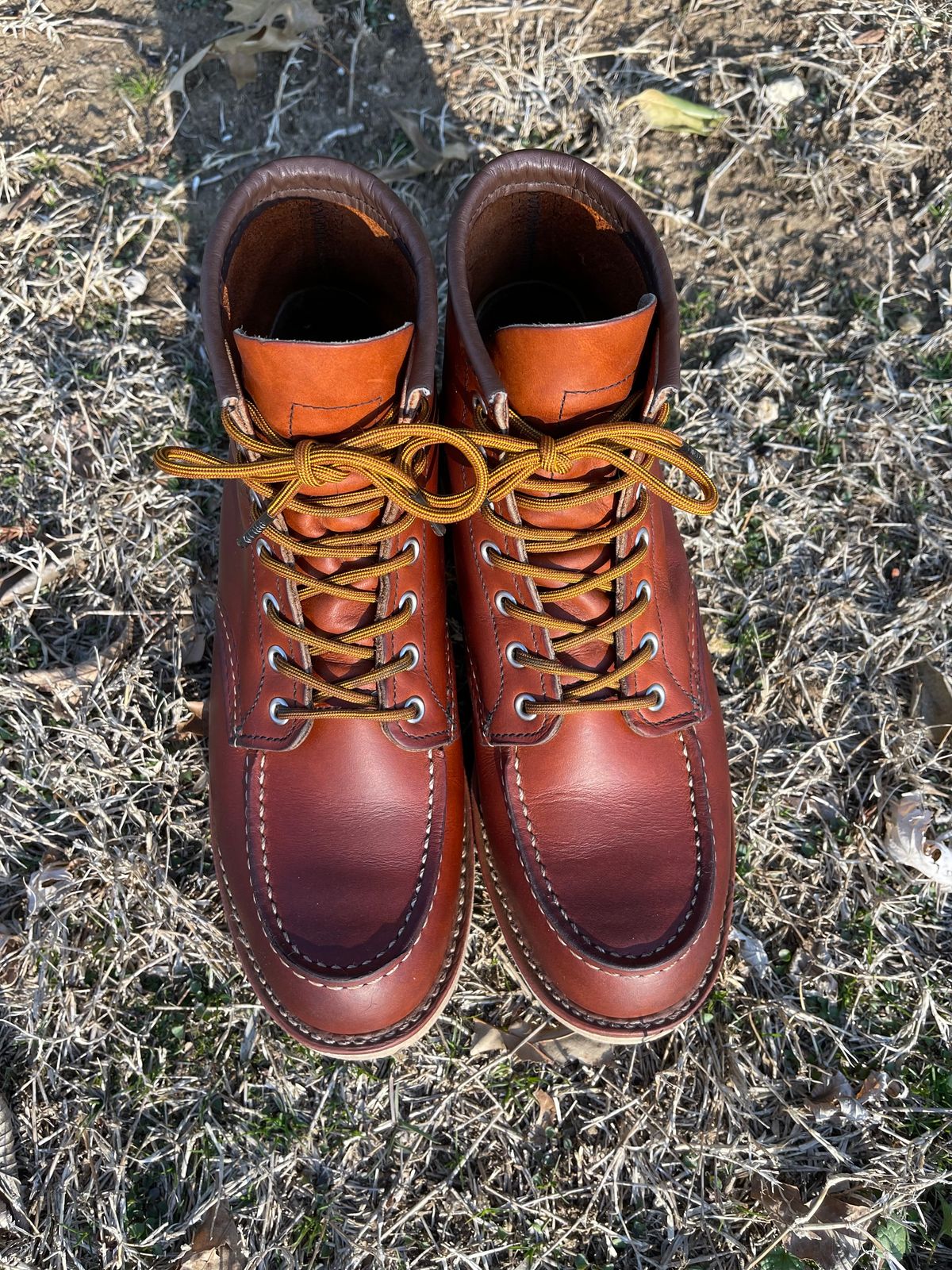Photo by c.w.hogan on February 4, 2023 of the Red Wing 6-Inch Classic Moc in S.B. Foot Oro Legacy.