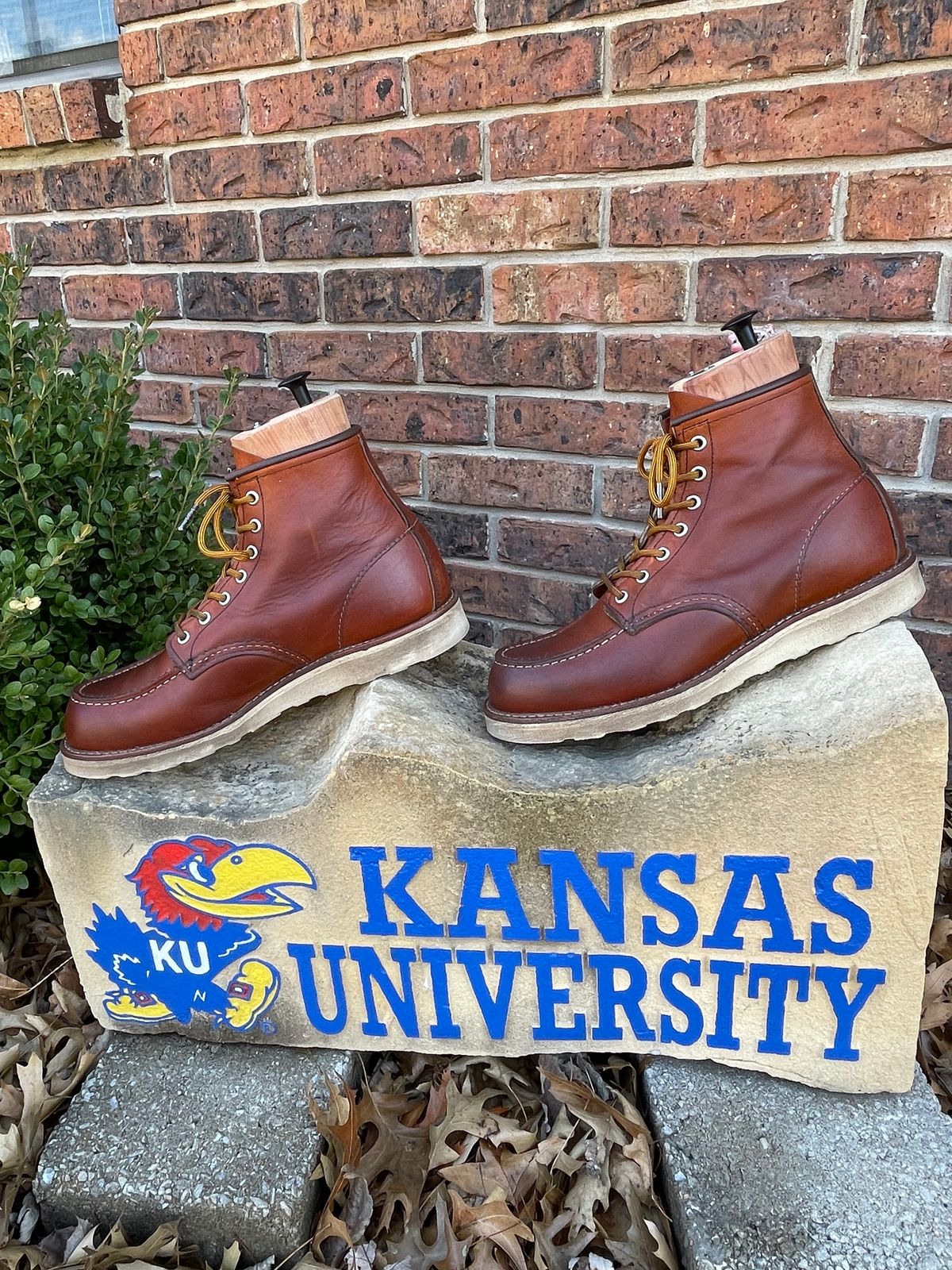 Photo by c.w.hogan on March 4, 2023 of the Red Wing 6-Inch Classic Moc in S.B. Foot Oro Legacy.