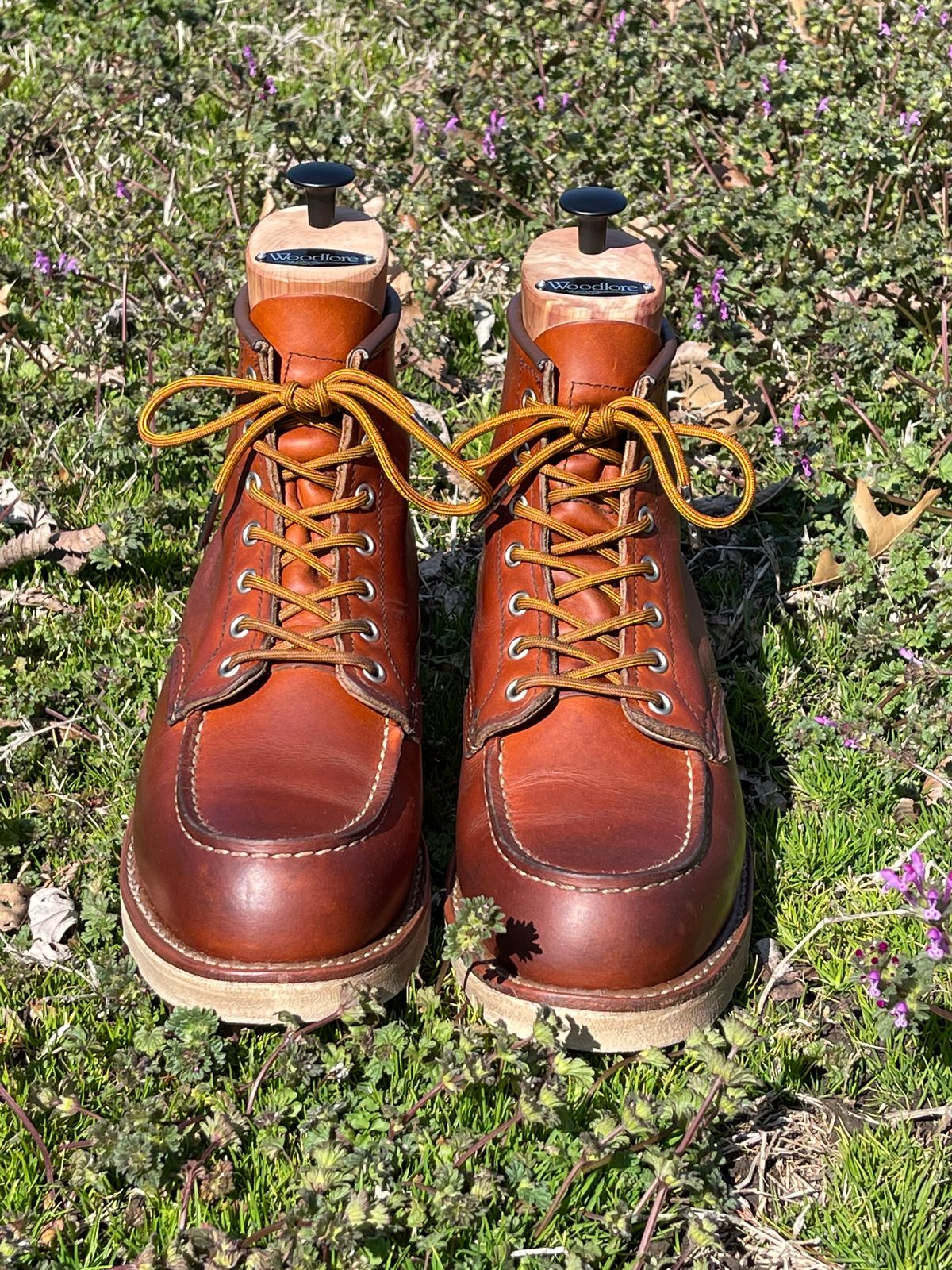 Photo by c.w.hogan on March 4, 2023 of the Red Wing 6-Inch Classic Moc in S.B. Foot Oro Legacy.