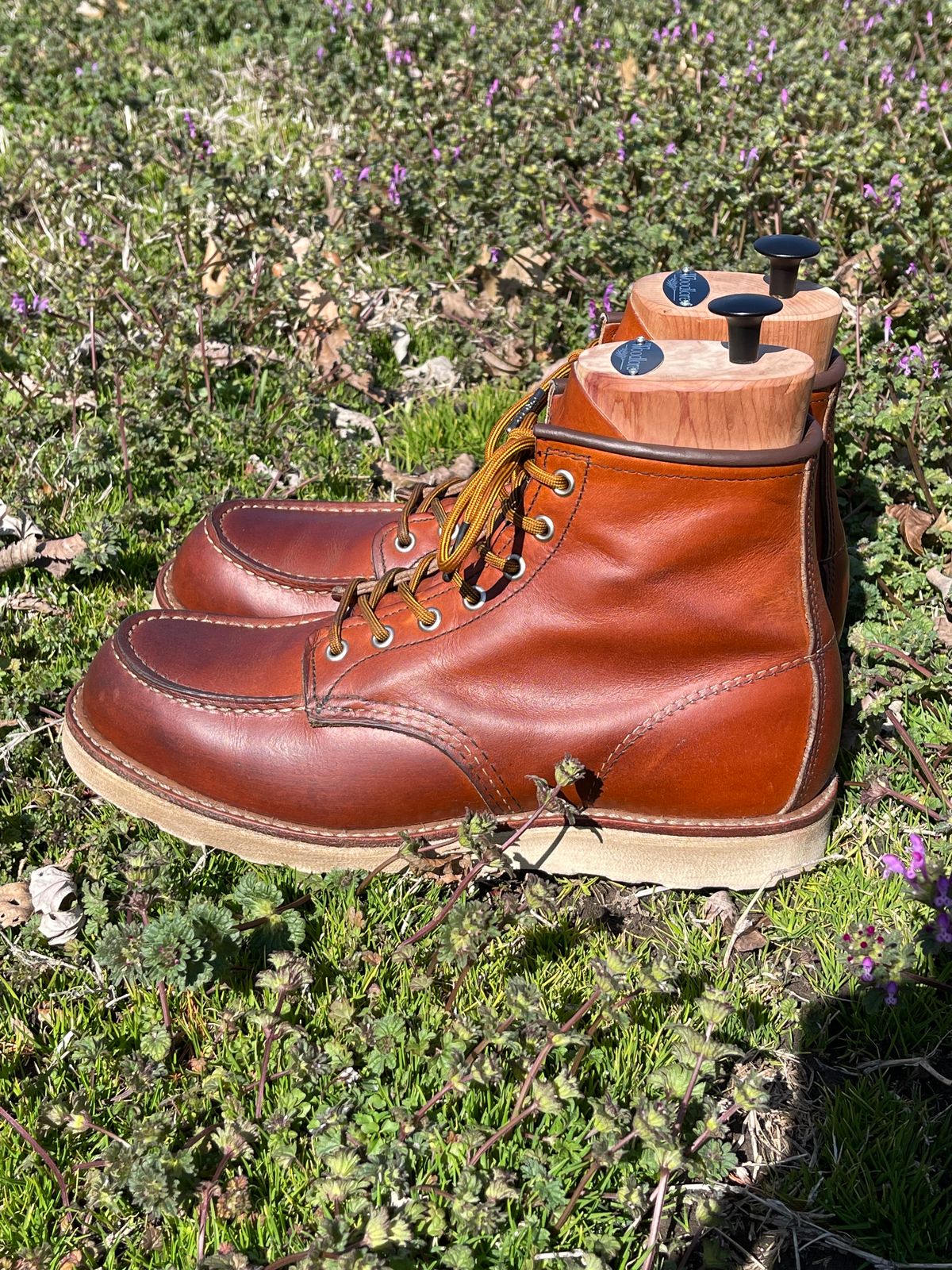 Photo by c.w.hogan on March 4, 2023 of the Red Wing 6-Inch Classic Moc in S.B. Foot Oro Legacy.