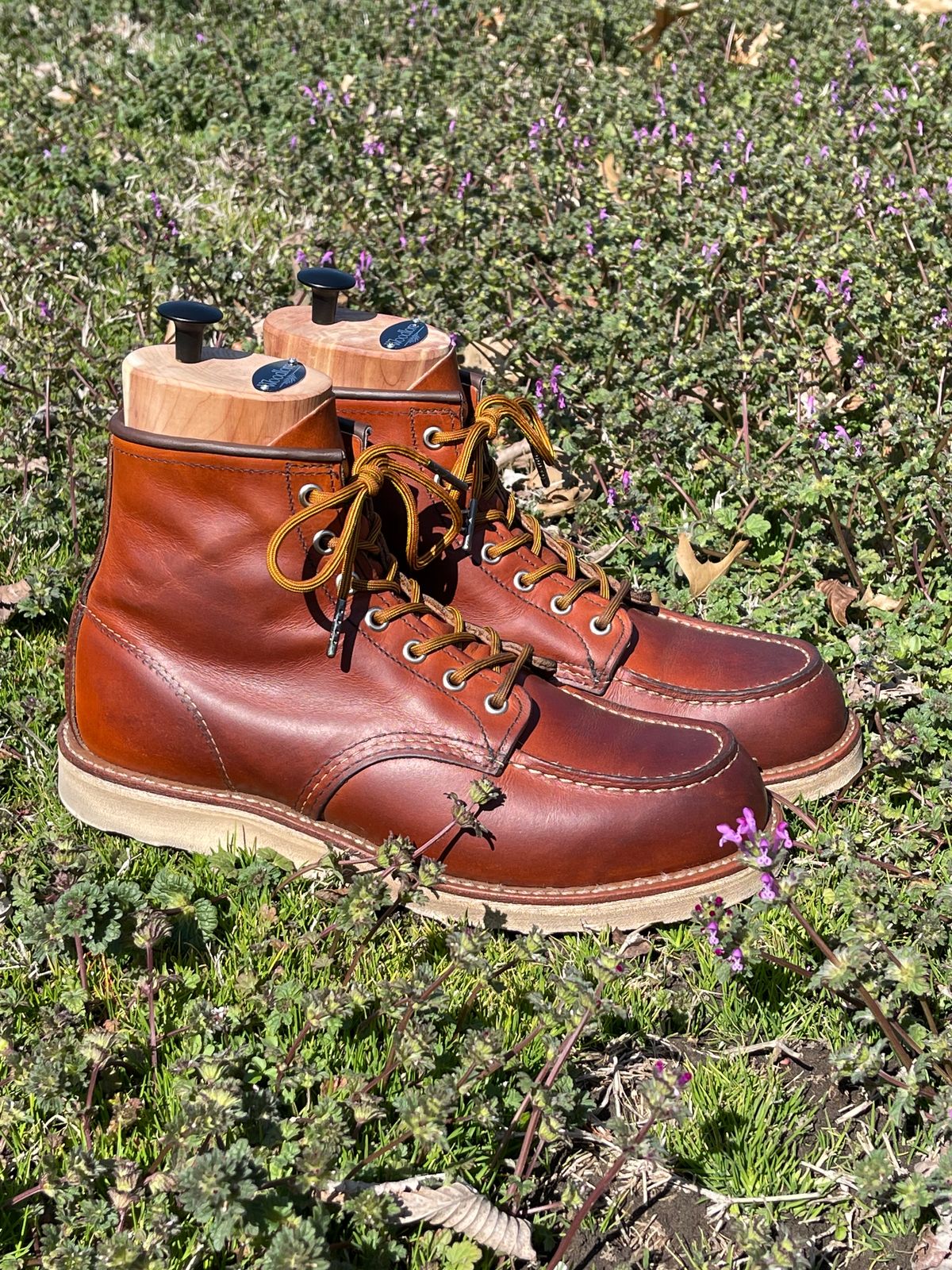 Photo by c.w.hogan on March 4, 2023 of the Red Wing 6-Inch Classic Moc in S.B. Foot Oro Legacy.