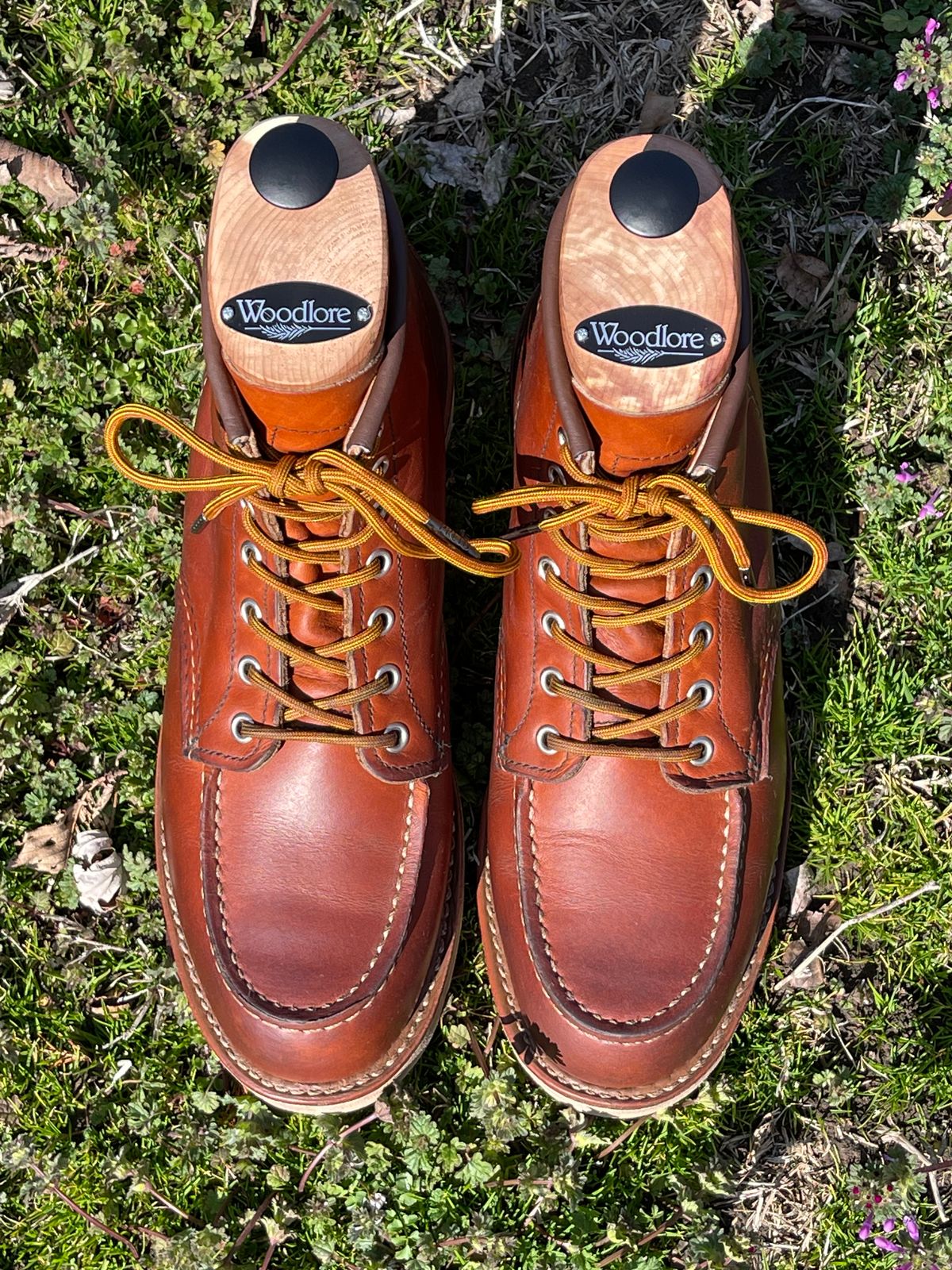Photo by c.w.hogan on March 4, 2023 of the Red Wing 6-Inch Classic Moc in S.B. Foot Oro Legacy.