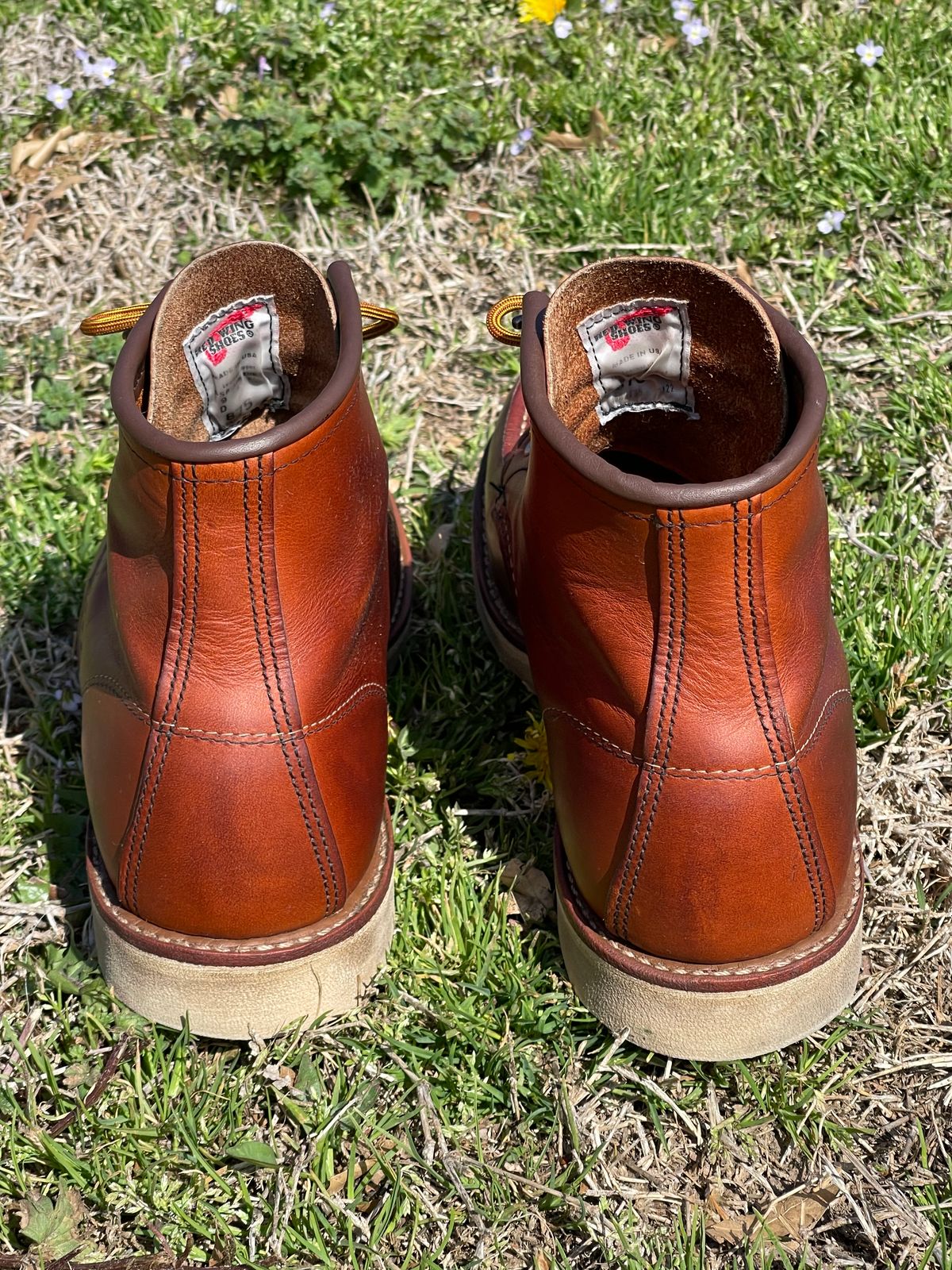 Photo by c.w.hogan on April 3, 2023 of the Red Wing 6-Inch Classic Moc in S.B. Foot Oro Legacy.