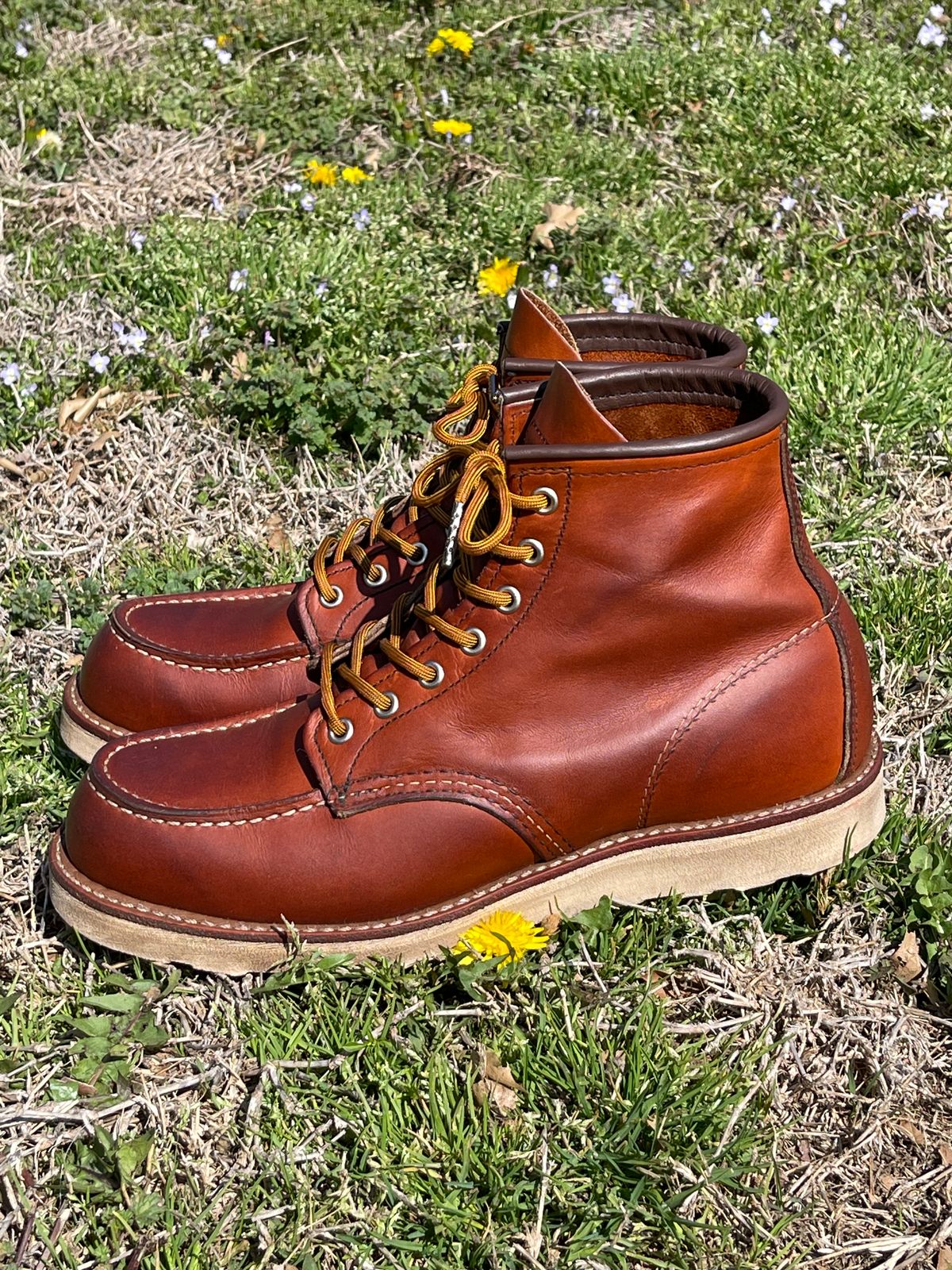 Photo by c.w.hogan on April 3, 2023 of the Red Wing 6-Inch Classic Moc in S.B. Foot Oro Legacy.