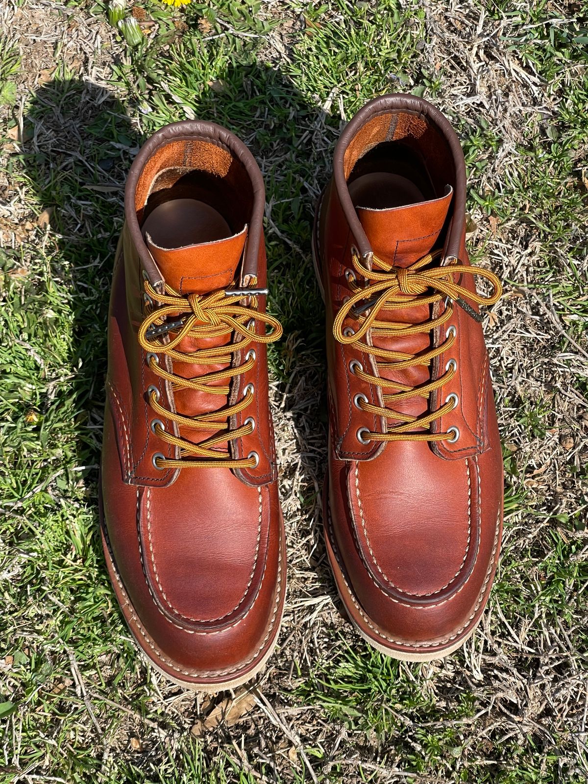Photo by c.w.hogan on April 3, 2023 of the Red Wing 6-Inch Classic Moc in S.B. Foot Oro Legacy.