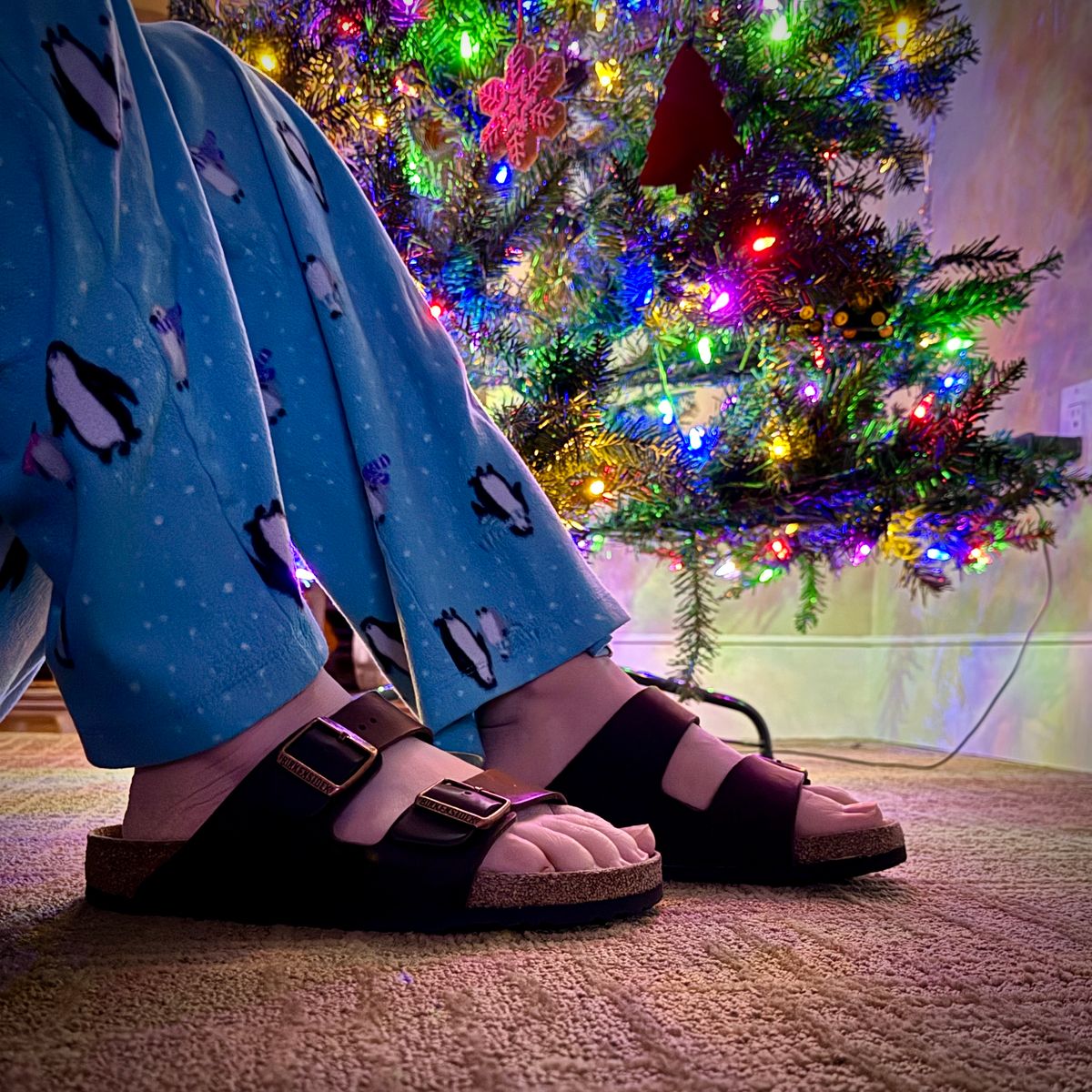 Photo by flyingdutchess on January 4, 2026 of the Birkenstock Arizona in Habana Oiled Leather.