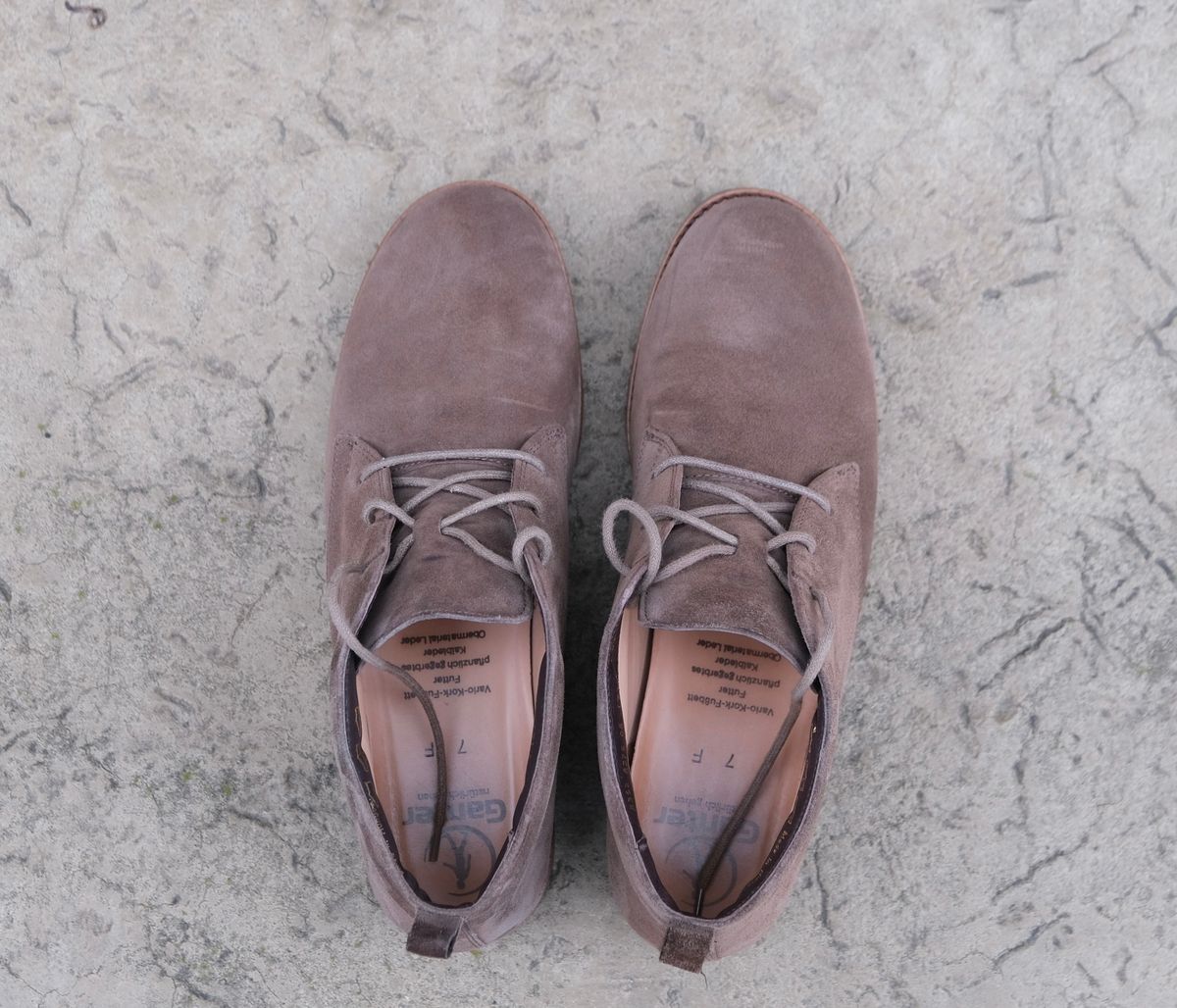 Photo by flyingdutchess on January 2, 2025 of the Ganter Chukka in C.F. Stead Snuff Janus Calf Suede.