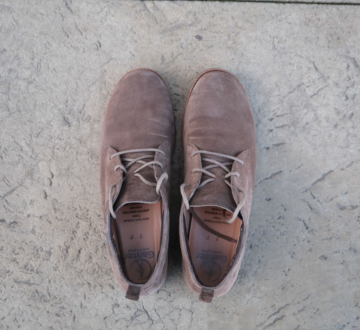 Photo by flyingdutchess on February 27, 2025 of the Ganter Chukka in C.F. Stead Snuff Janus Calf Suede.
