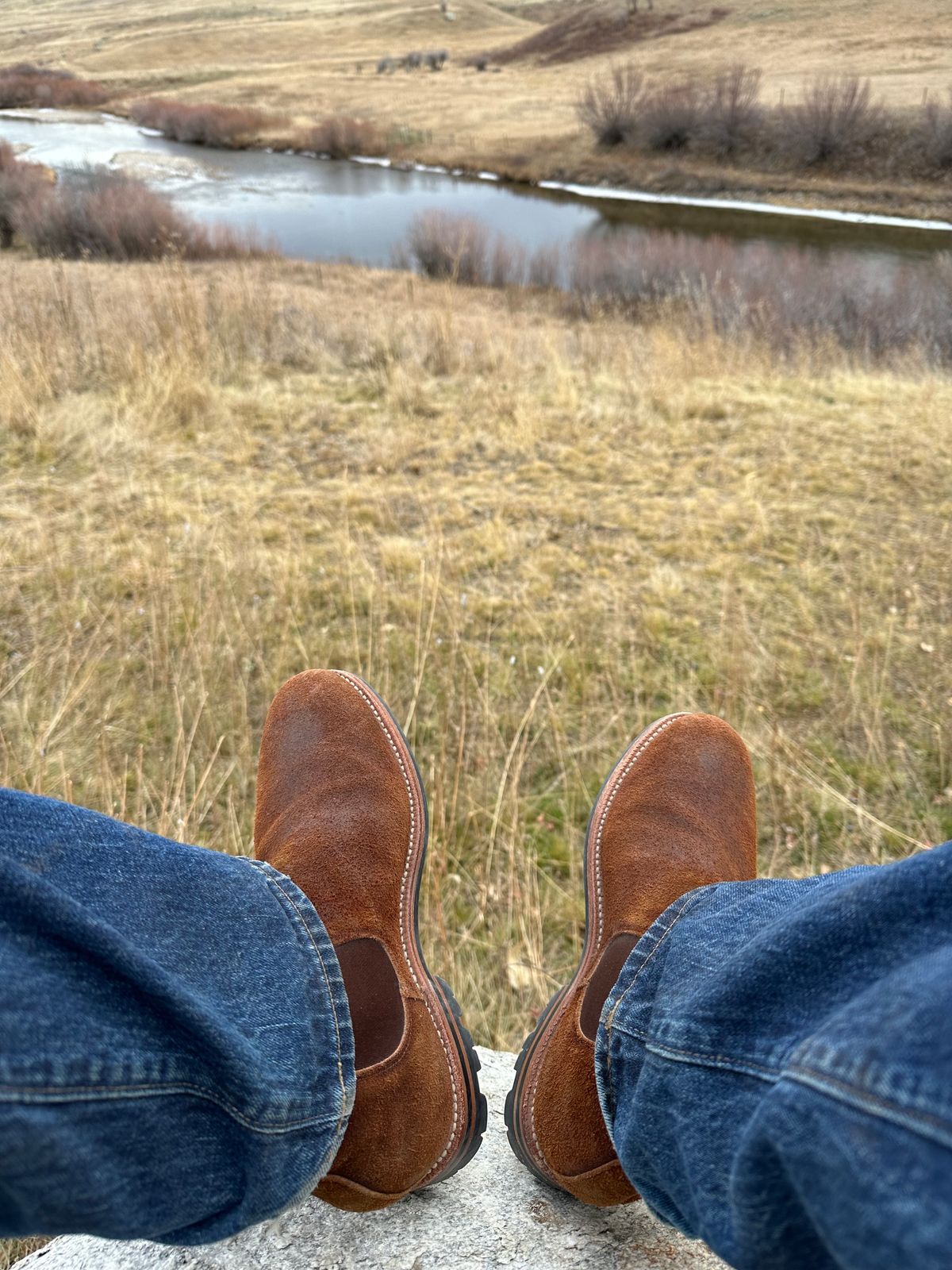 Photo by rbayon on December 5, 2023 of the Grant Stone Chelsea Boot in C.F. Stead Dark Oak Roughout.