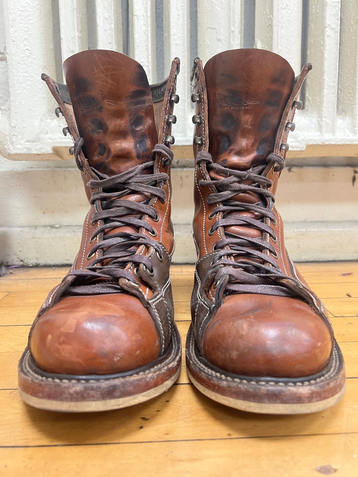 Photo by AlManuel on December 3, 2025 of the Willie's Handmade Boots Pioneer Lace To Toe in Maryam Toscanello TPR Horsebutt.