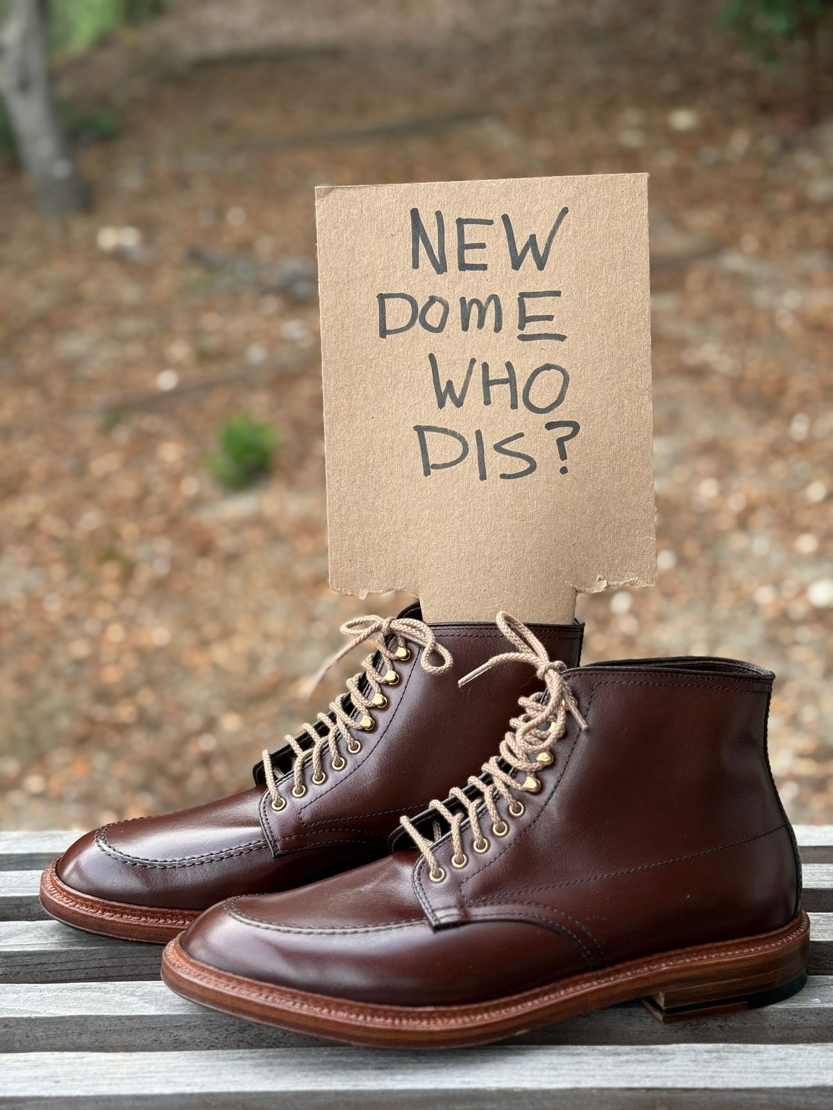 Photo by bootsnpoems on October 2, 2025 of the Alden Stitchdown Otis Indy in Brown Calfskin.