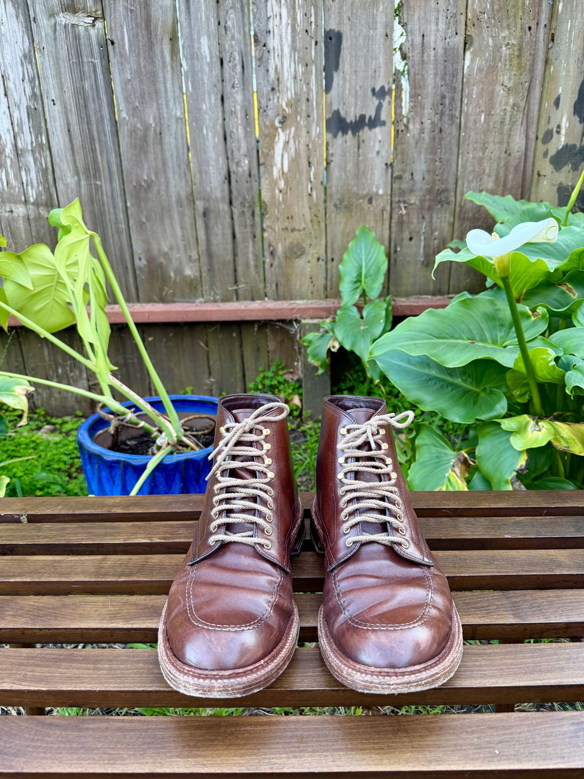 Photo by bootsnpoems on February 4, 2026 of the Alden Stitchdown Otis Indy in Brown Calfskin.
