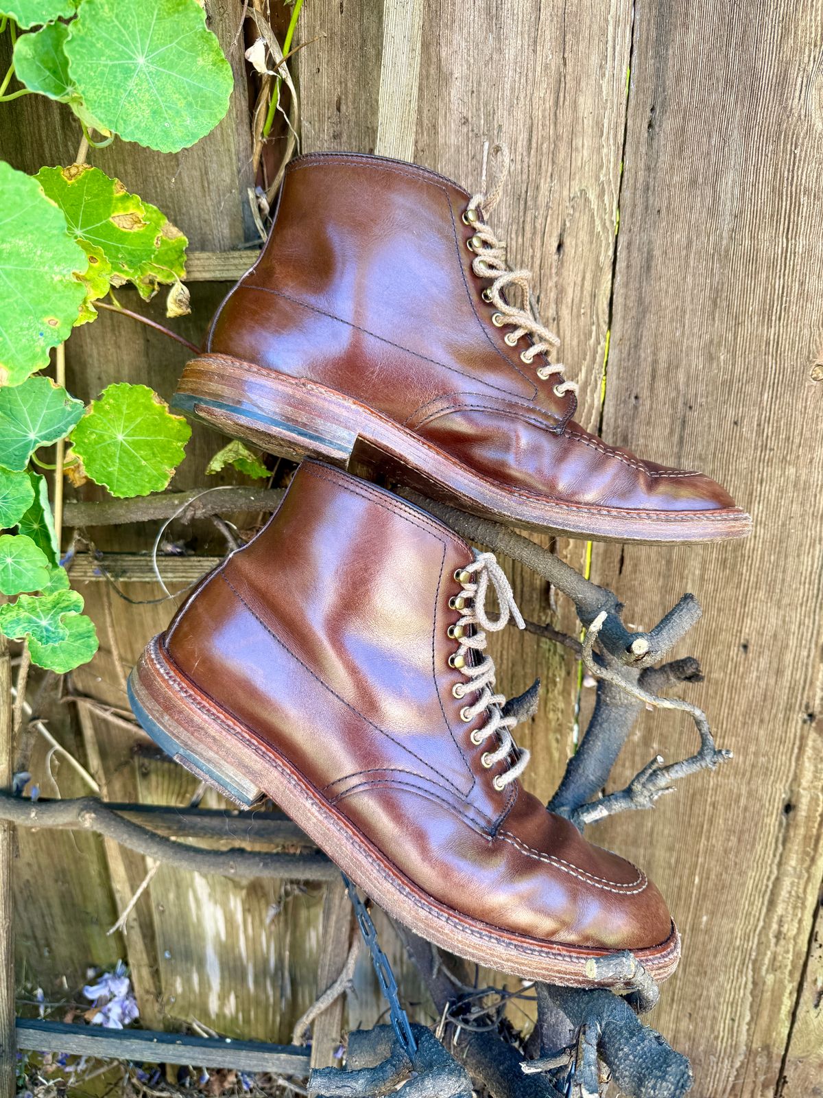 Photo by bootsnpoems on April 2, 2026 of the Alden Stitchdown Otis Indy in Brown Calfskin.