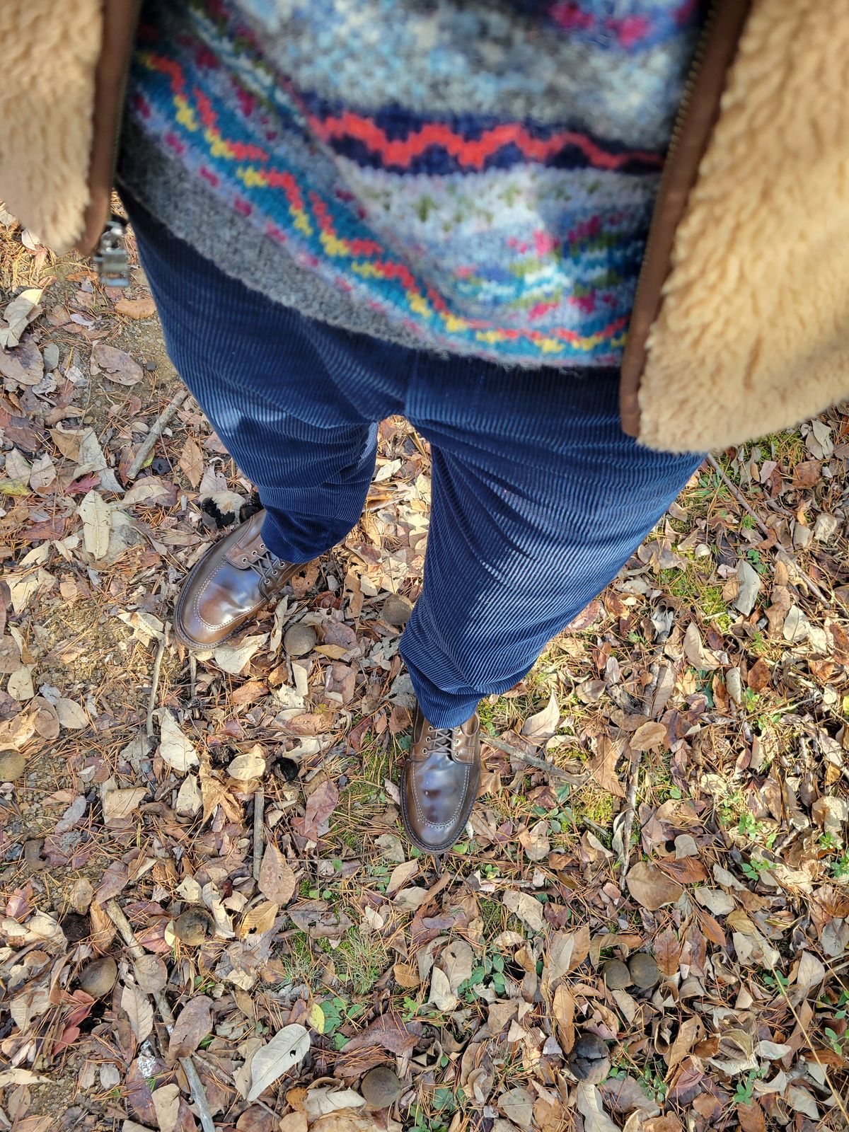 Photo by manowar on November 28, 2023 of the Allen Edmonds Freeport in Horween Dark Cognac Shell Cordovan.