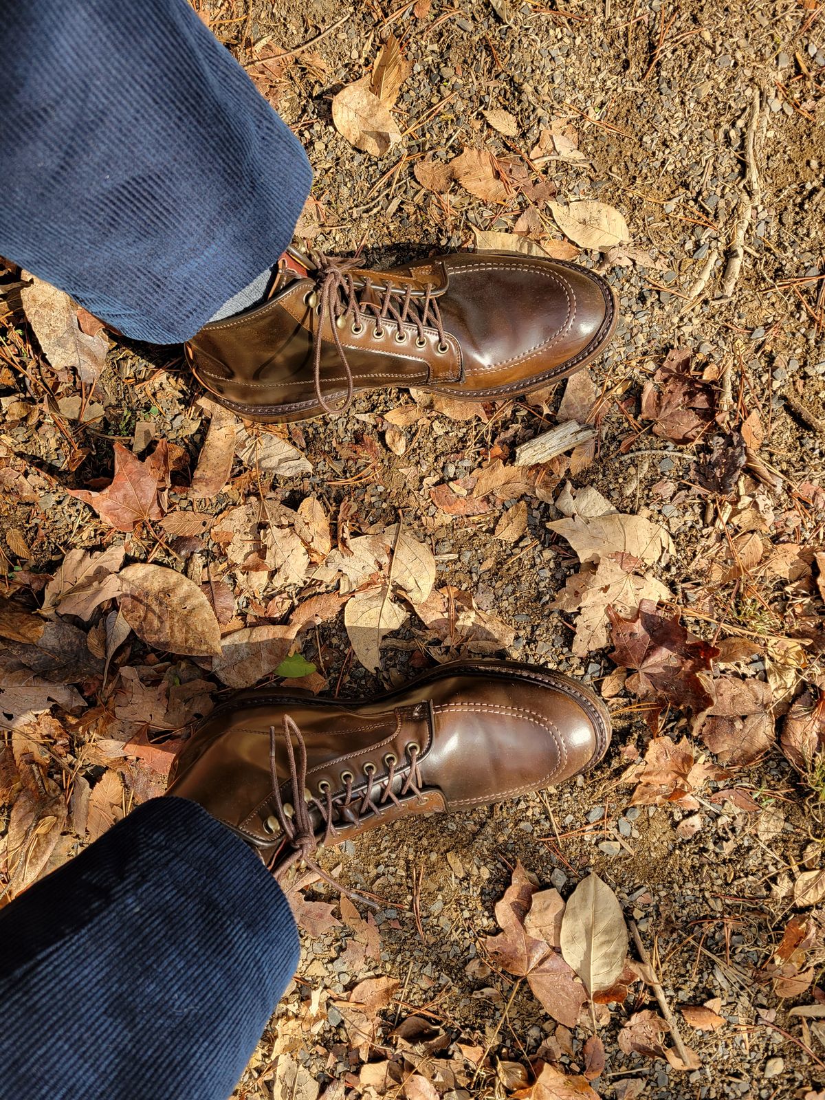 Photo by manowar on November 28, 2023 of the Allen Edmonds Freeport in Horween Dark Cognac Shell Cordovan.