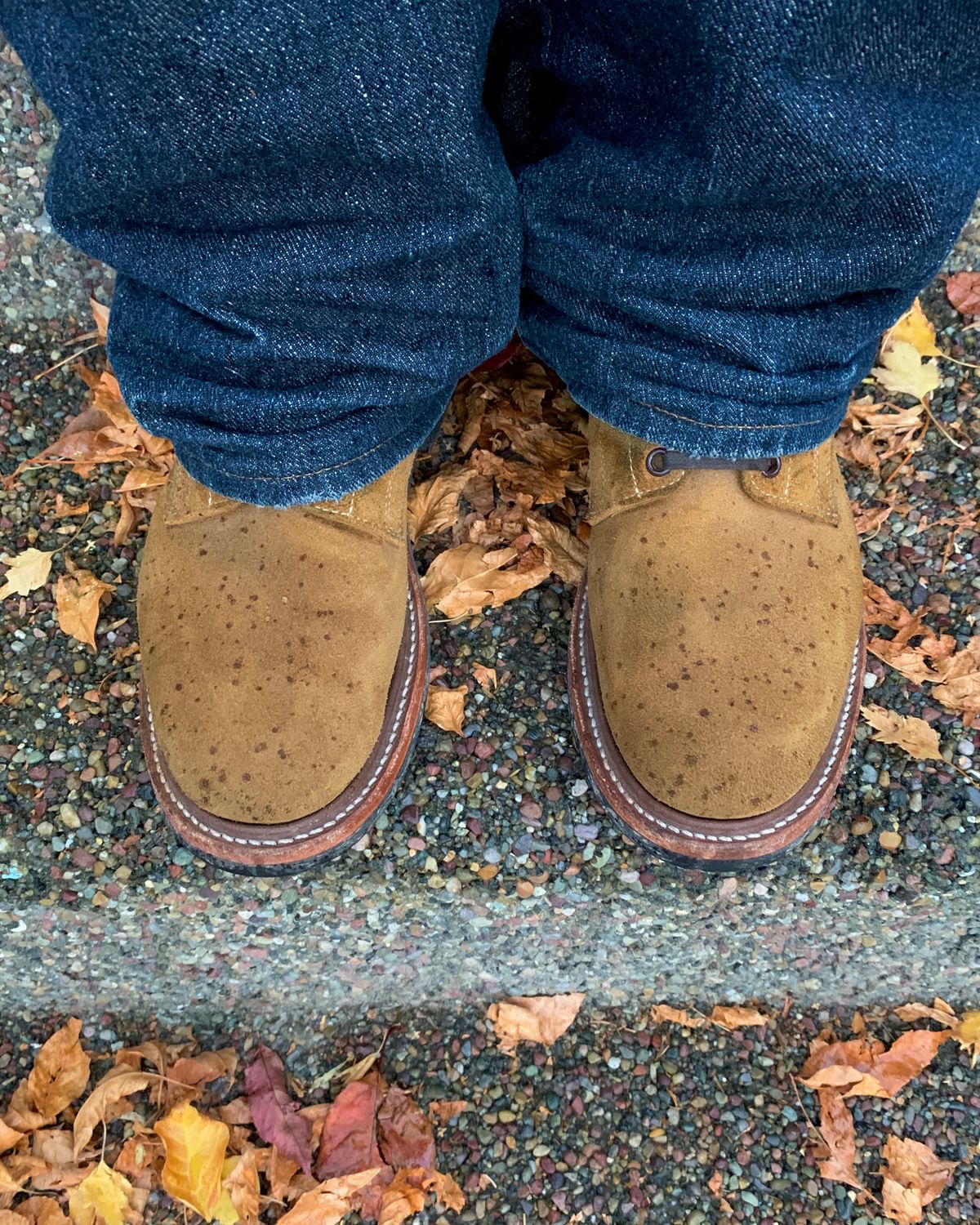 Photo by scotts on October 15, 2022 of the Role Club Boondockers in Rich Brown Roughout.
