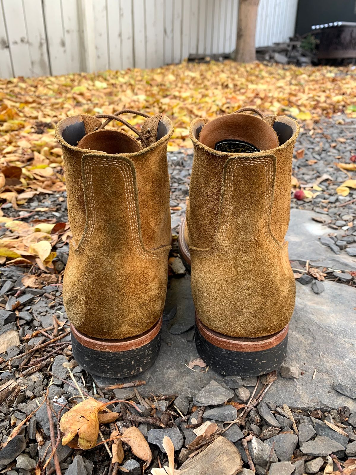 Photo by scotts on November 1, 2022 of the Role Club Boondockers in Rich Brown Roughout.