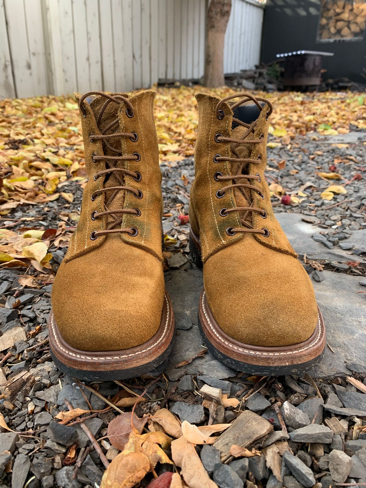 Photo by scotts on November 1, 2022 of the Role Club Boondockers in Rich Brown Roughout.