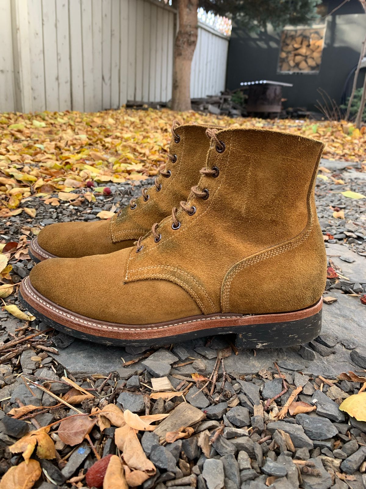 Photo by scotts on November 1, 2022 of the Role Club Boondockers in Rich Brown Roughout.