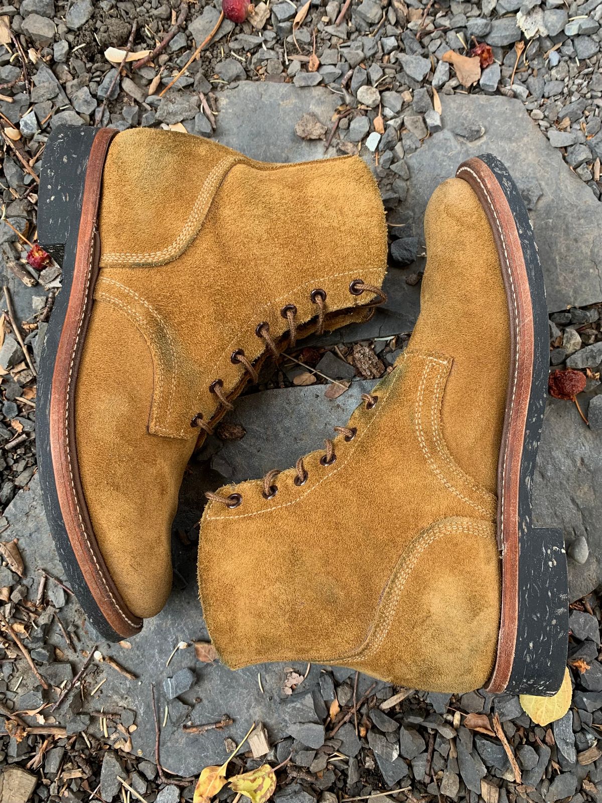 Photo by scotts on November 1, 2022 of the Role Club Boondockers in Rich Brown Roughout.