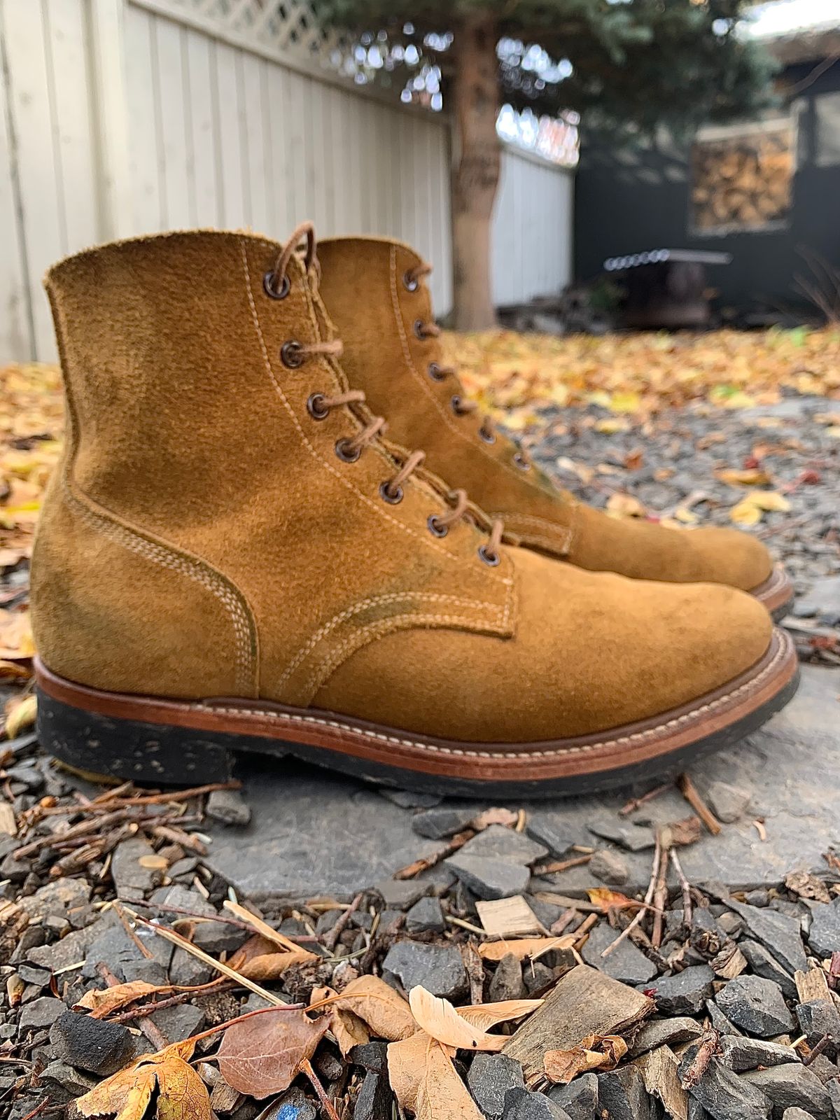 Photo by scotts on November 1, 2022 of the Role Club Boondockers in Rich Brown Roughout.