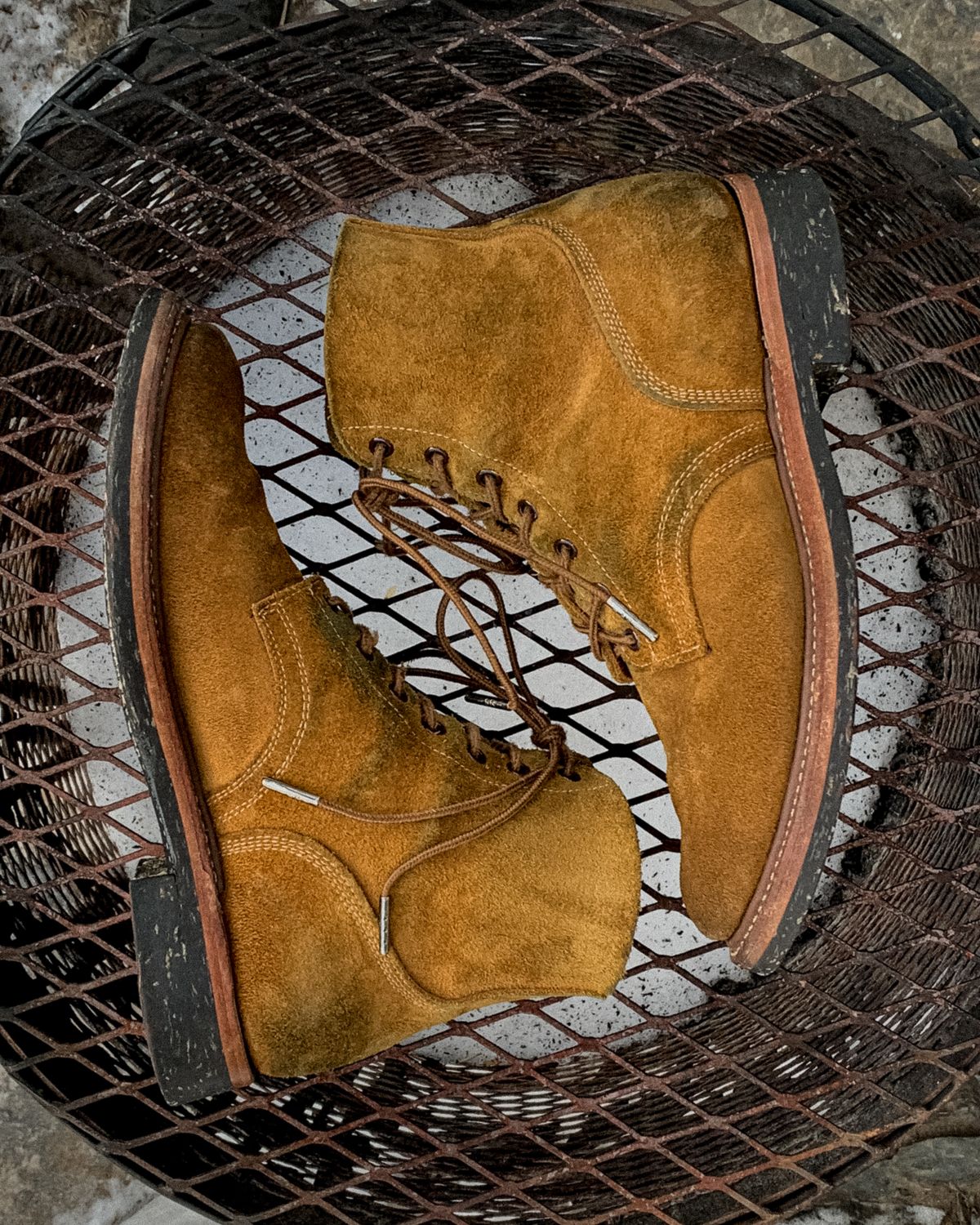 Photo by scotts on December 29, 2022 of the Role Club Boondockers in Rich Brown Roughout.