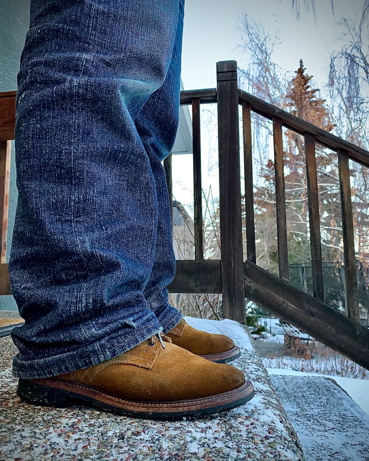 Photo by scotts on January 1, 2023 of the Role Club Boondockers in Rich Brown Roughout.