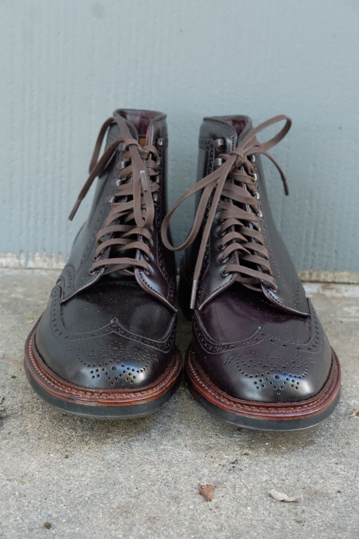 Photo by DirtyRat on October 2, 2022 of the Alden Wingtip Boot in Horween Color 8 Shell Cordovan.