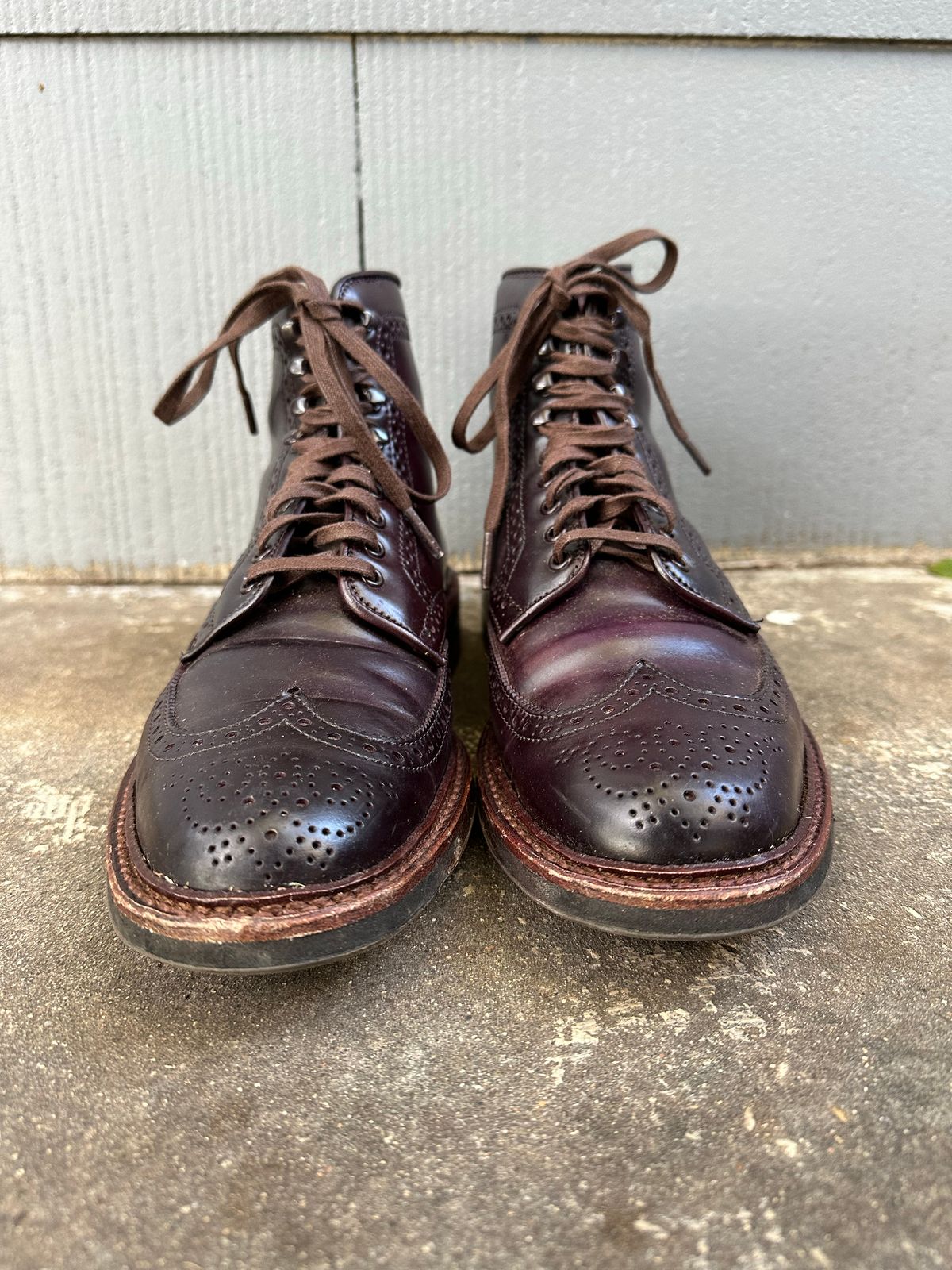 Photo by DirtyRat on November 10, 2022 of the Alden Wingtip Boot in Horween Color 8 Shell Cordovan.