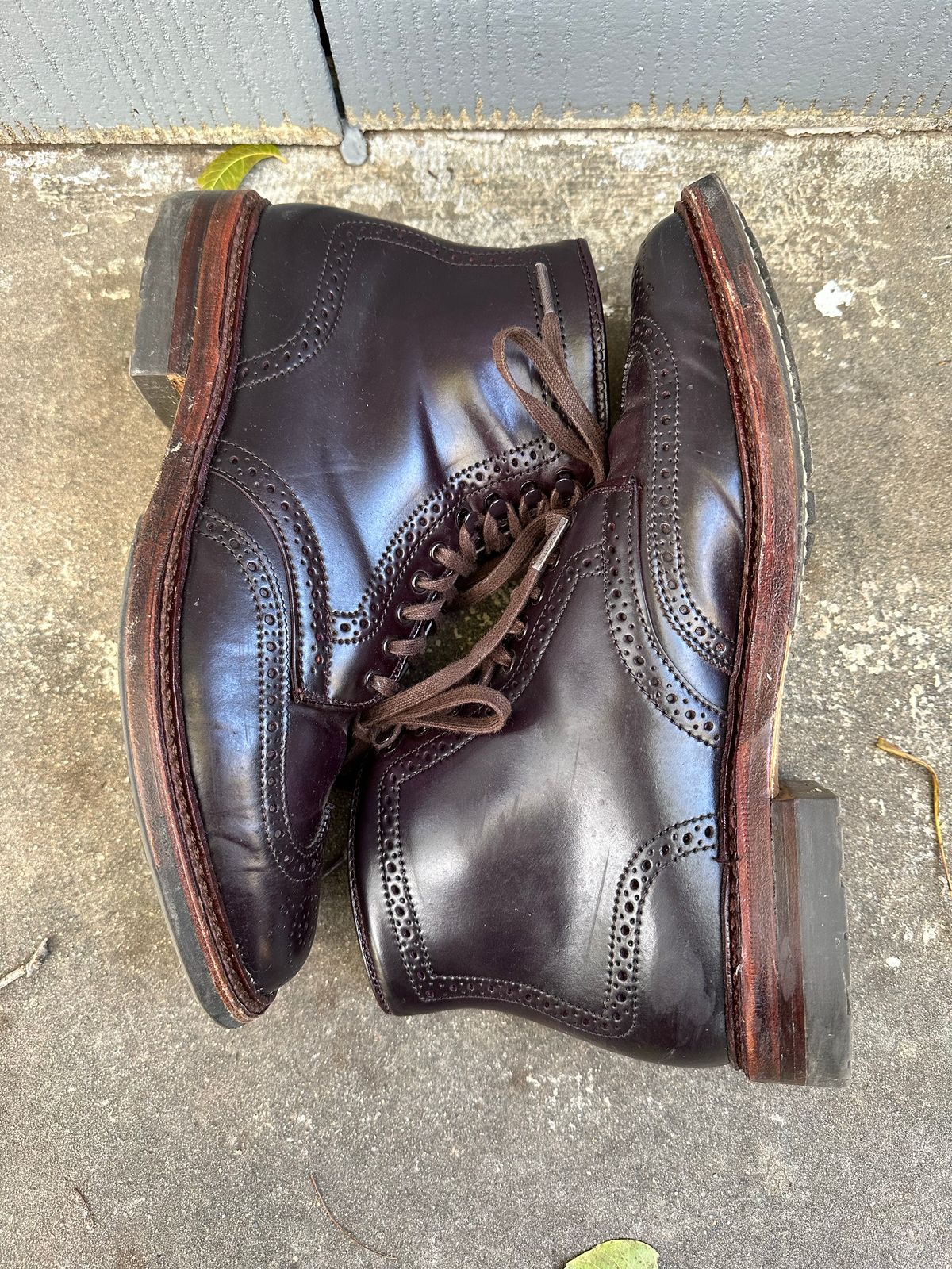 Photo by DirtyRat on November 10, 2022 of the Alden Wingtip Boot in Horween Color 8 Shell Cordovan.